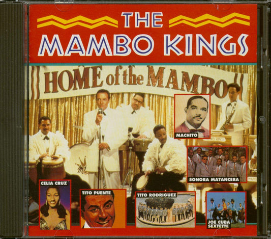 Mambo Kings book cover