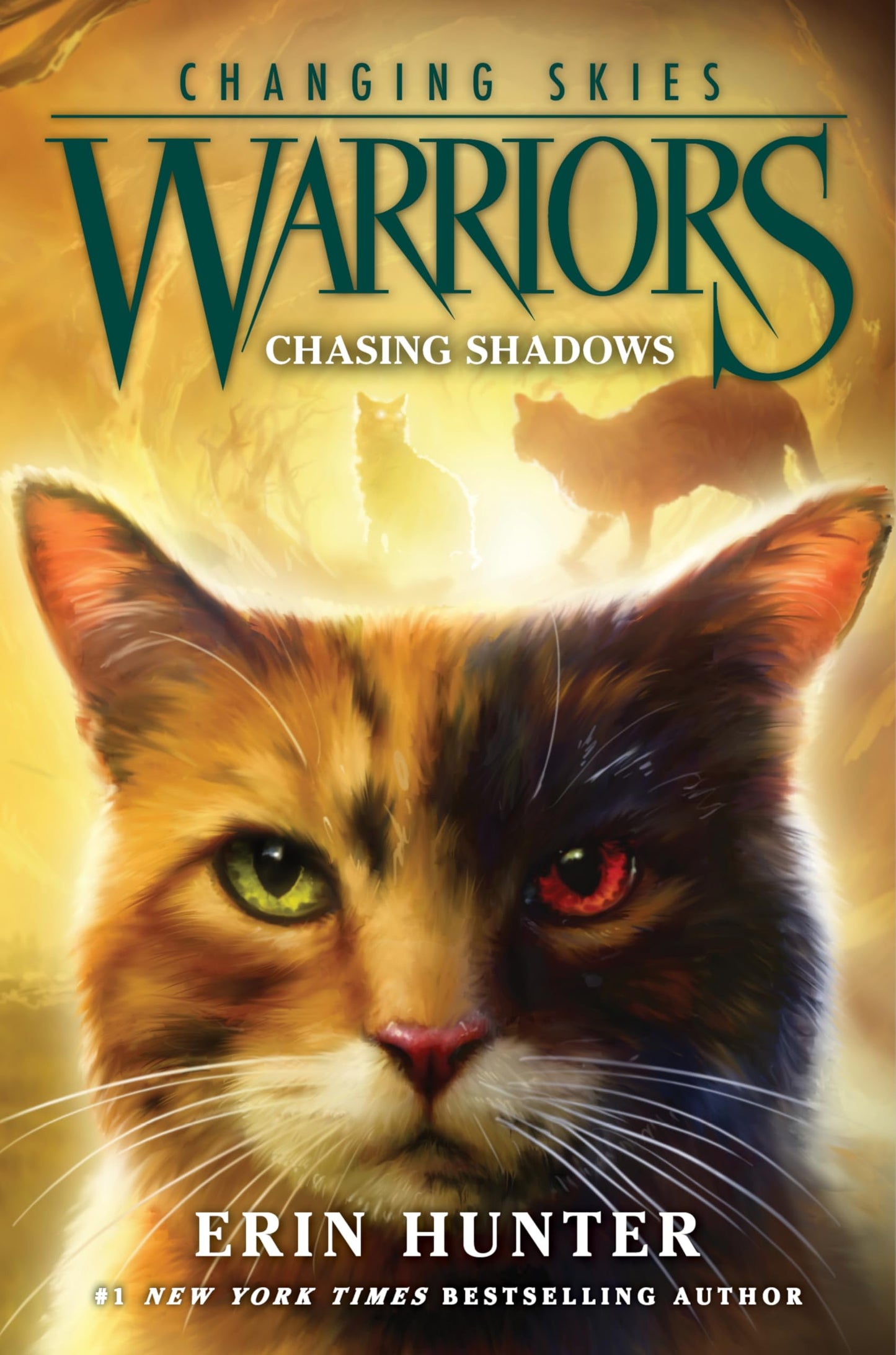 Chasing Shadows book cover
