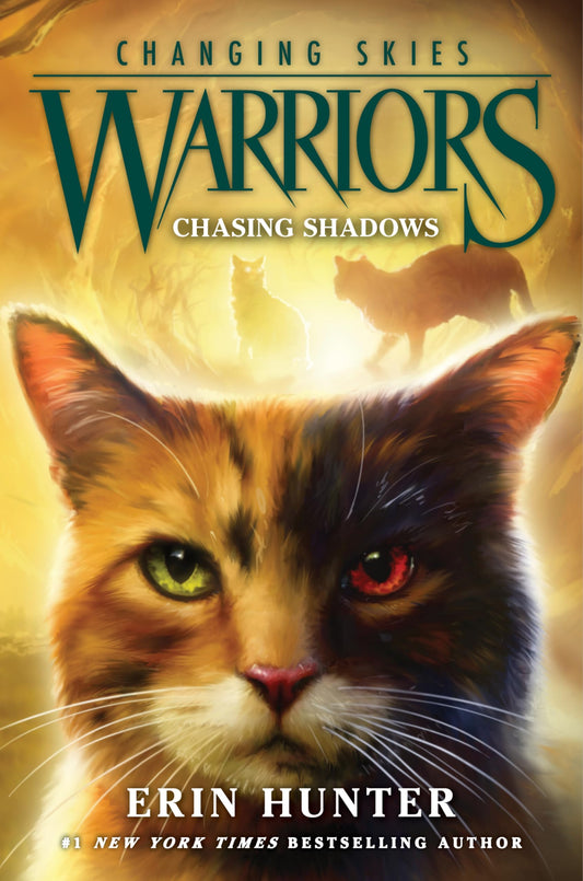 Chasing Shadows book cover