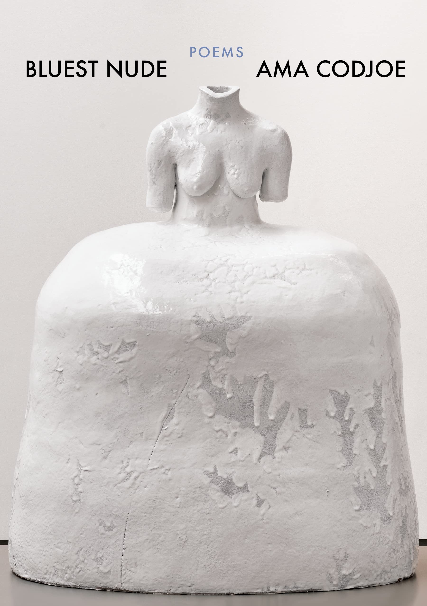 Bluest Nude book cover