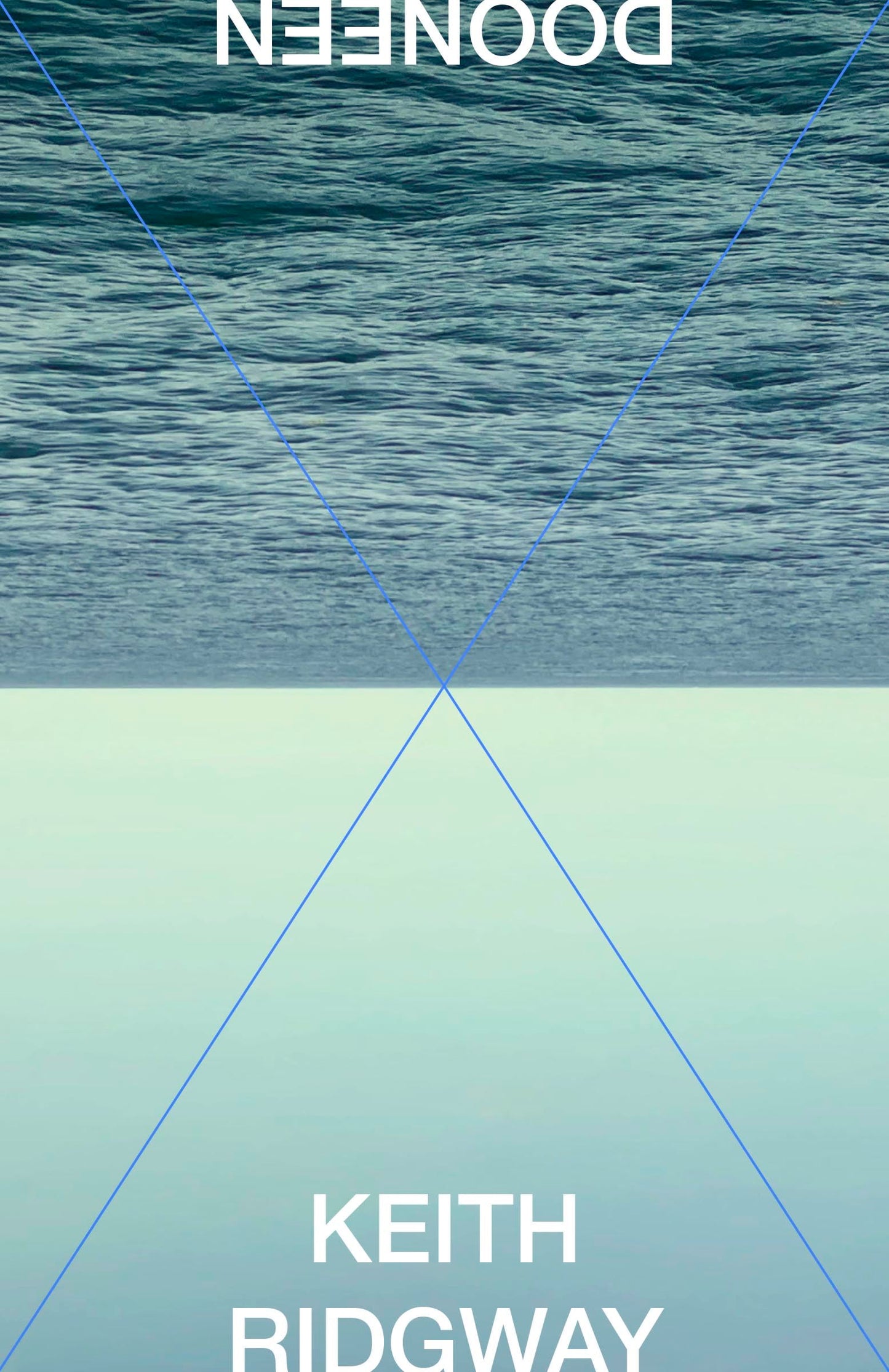 Dooneen book cover
