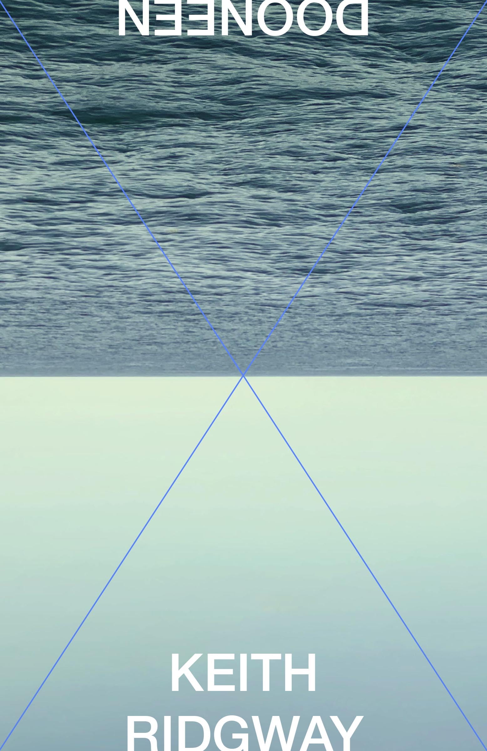 Dooneen book cover
