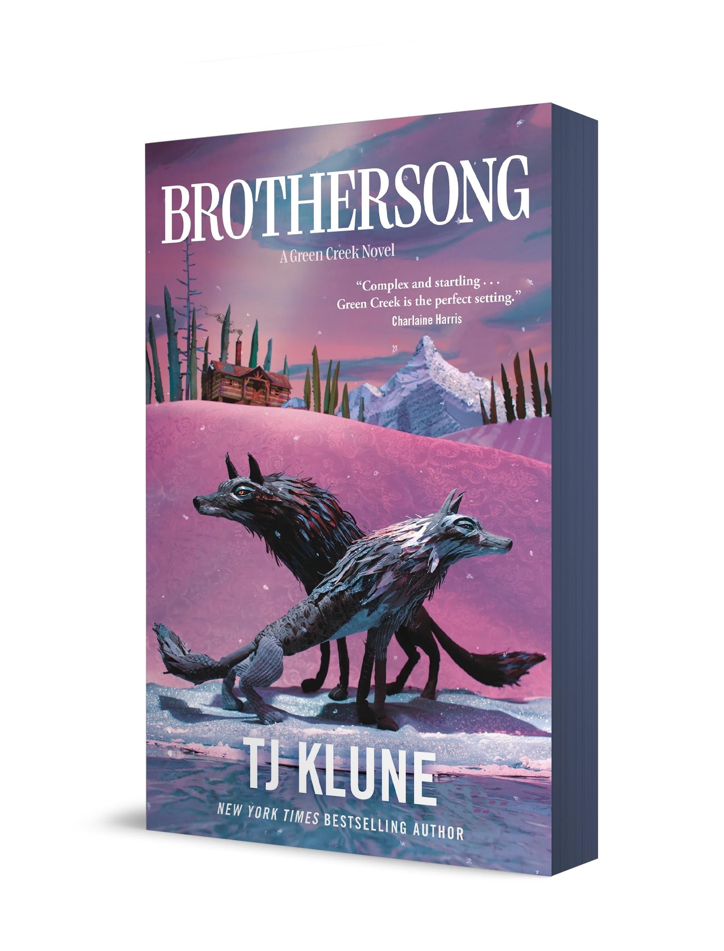 Brothersong book cover