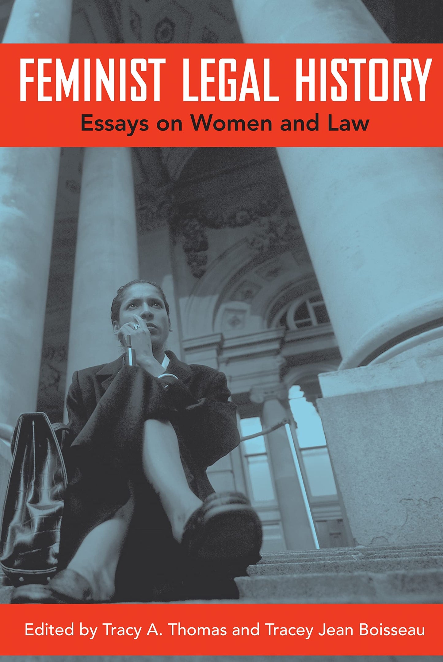 Feminist Legal History: Essays on Women and Law book cover