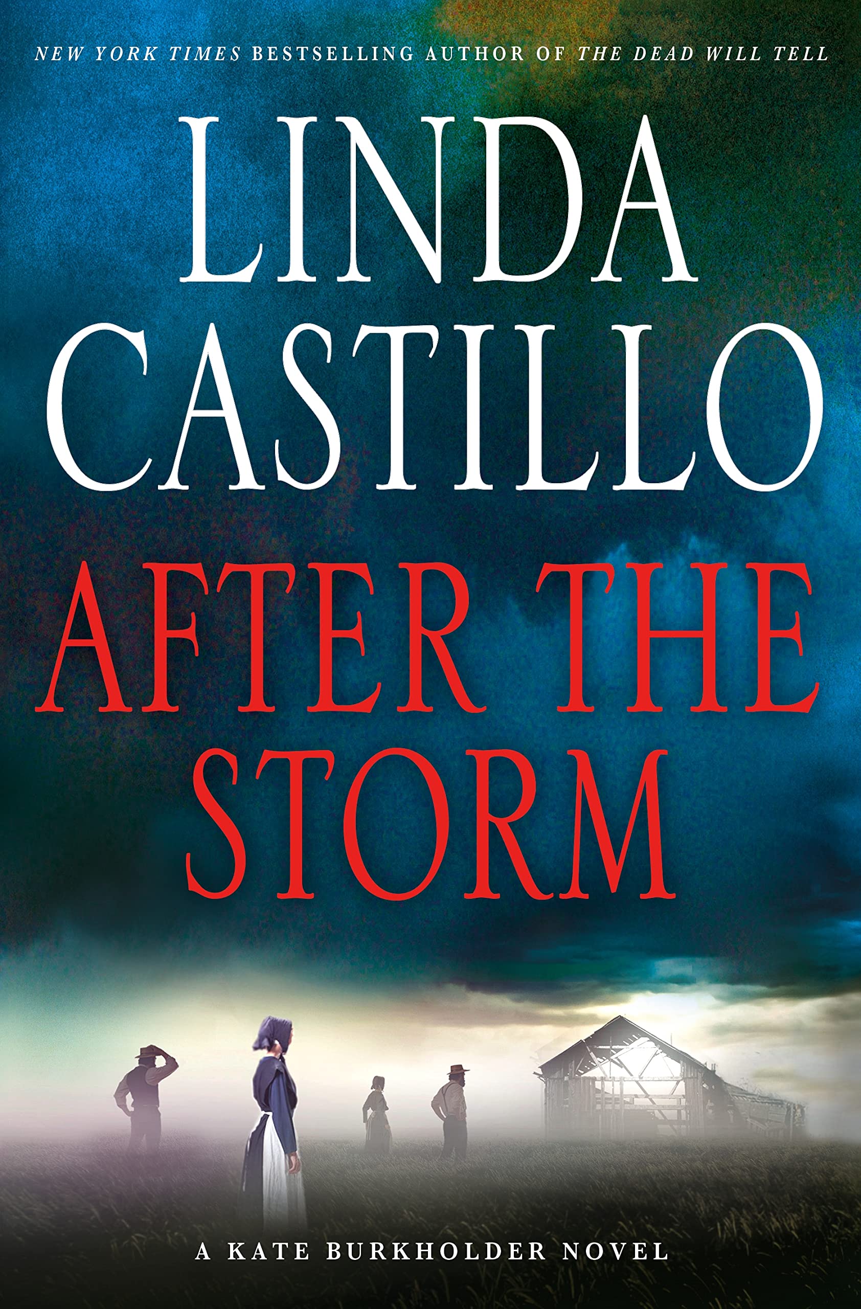 After the Storm book cover