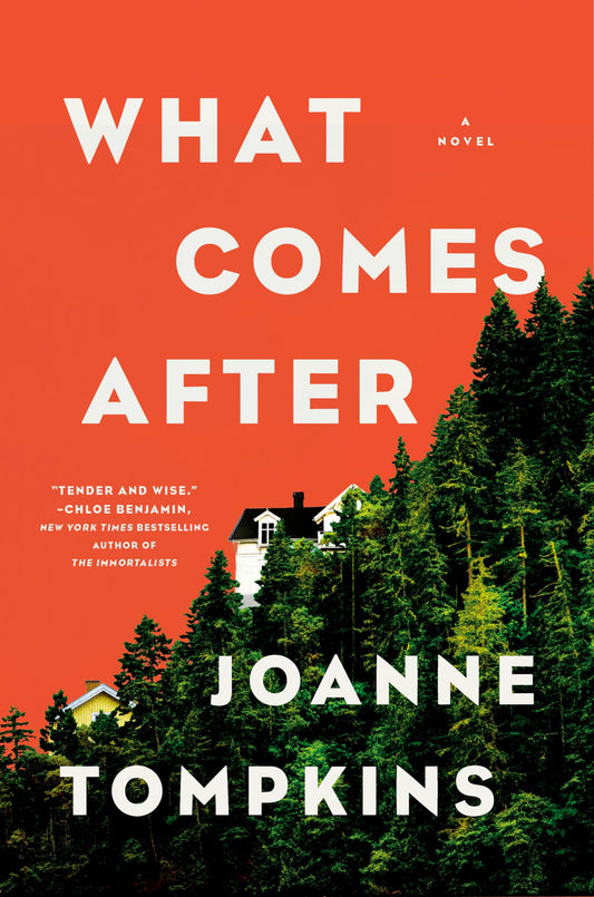 What Comes After book cover