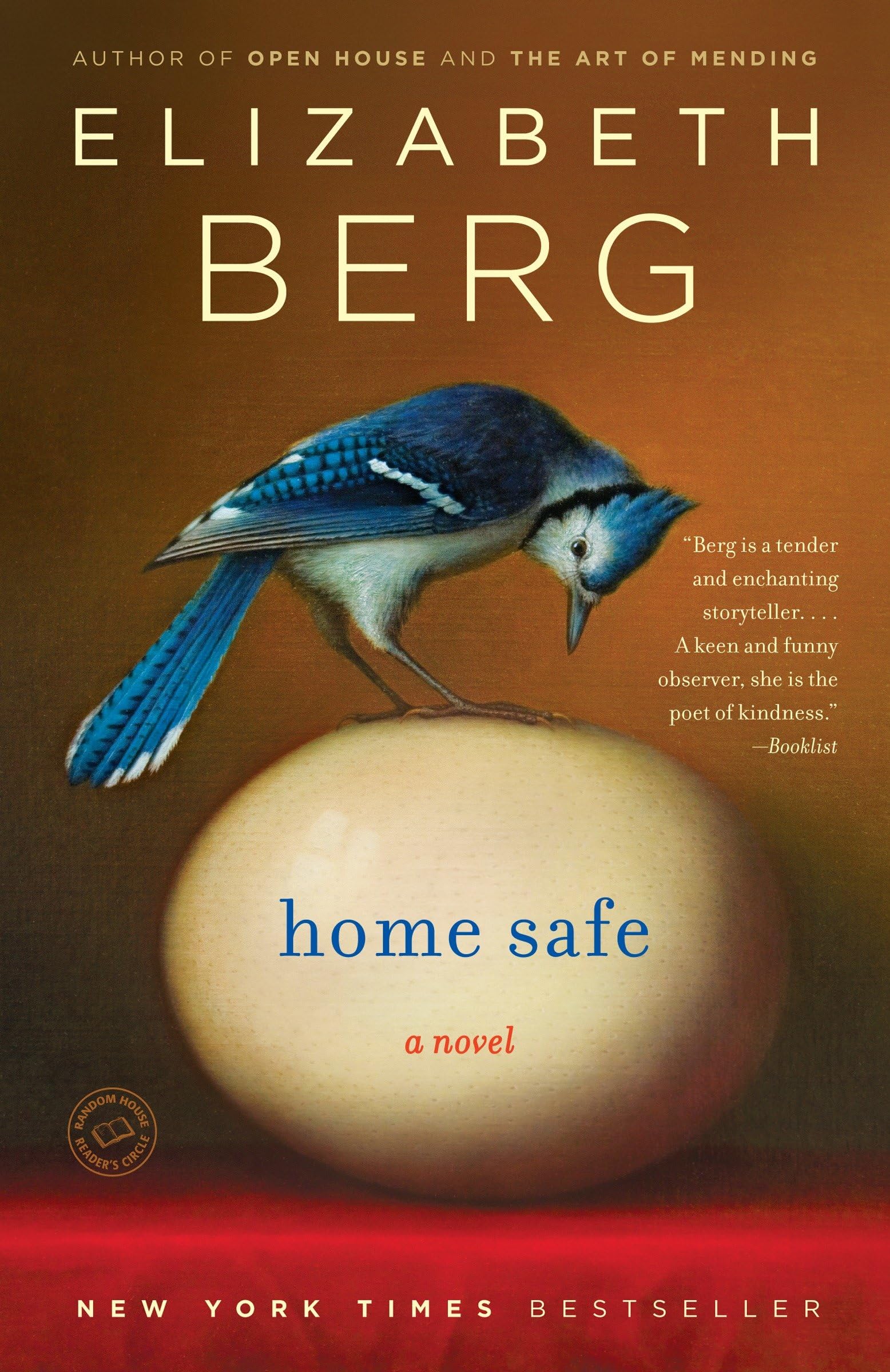 Home Safe book cover