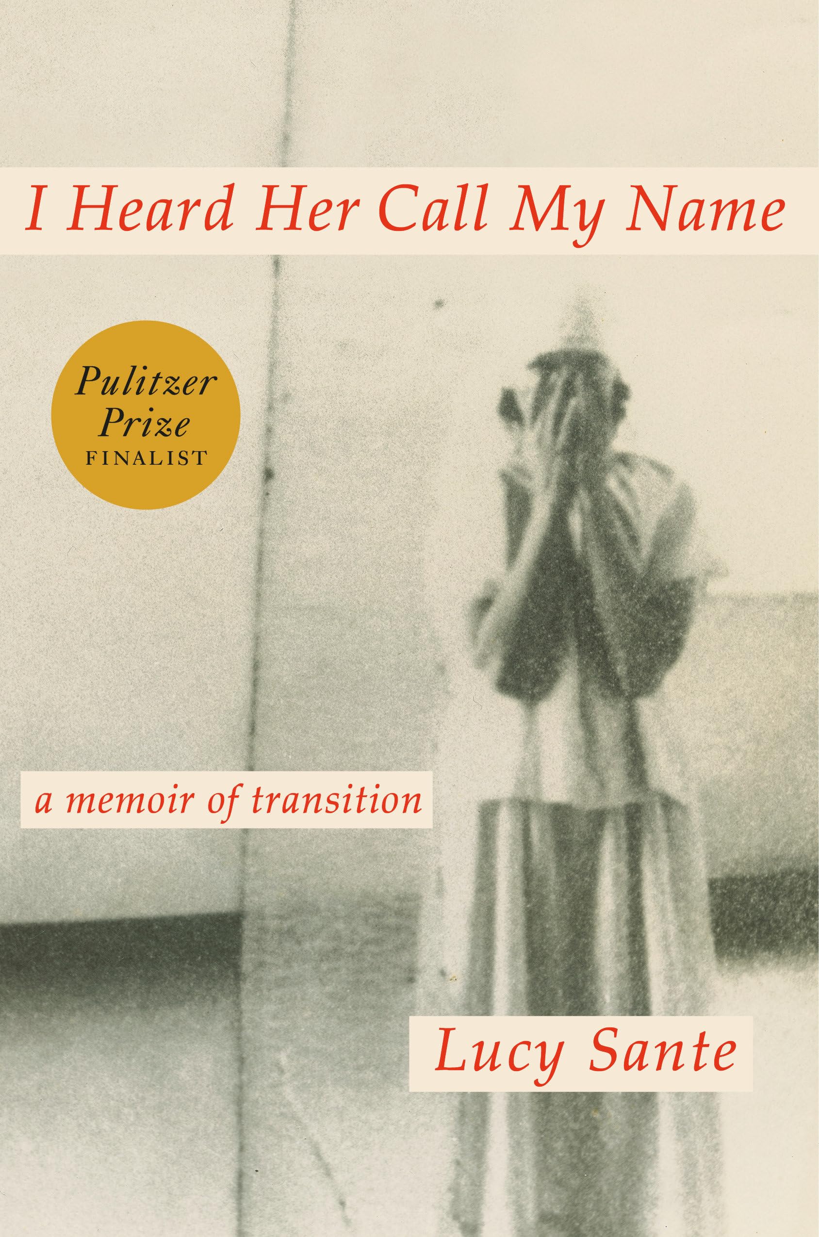 I Heard Her Call My Name book cover
