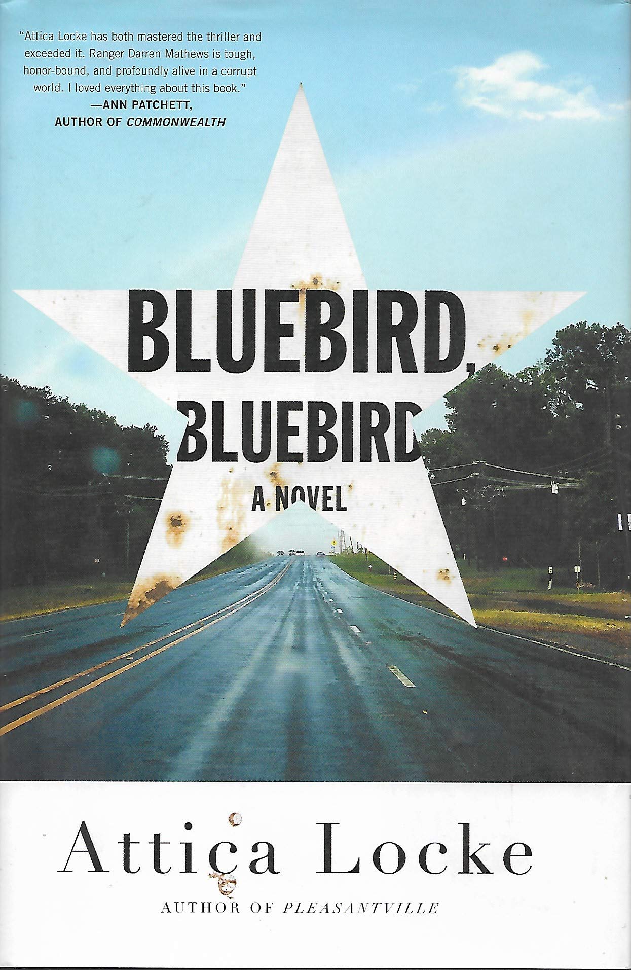 Bluebird, Bluebird