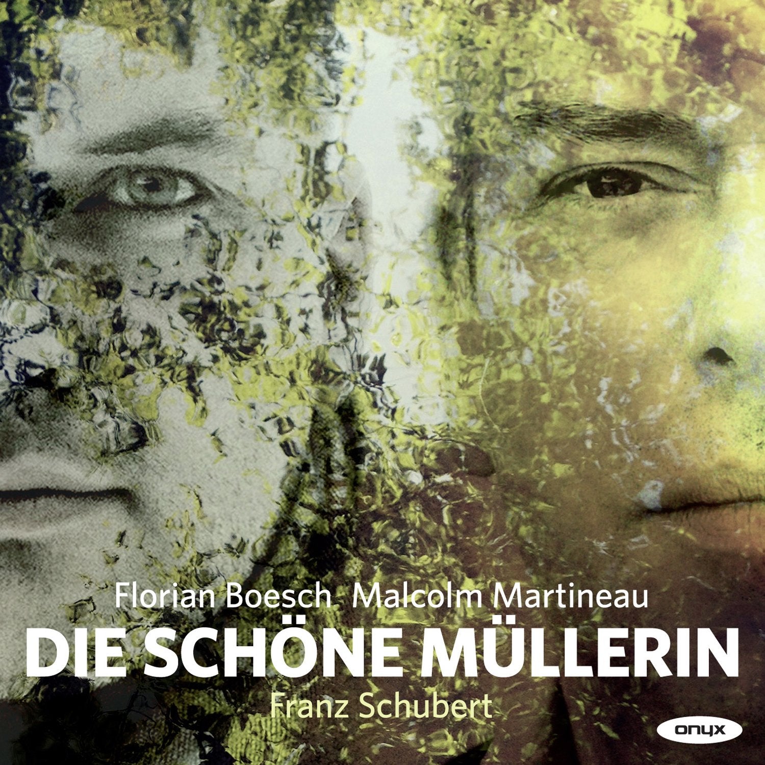 Die Schone Mullerin book cover