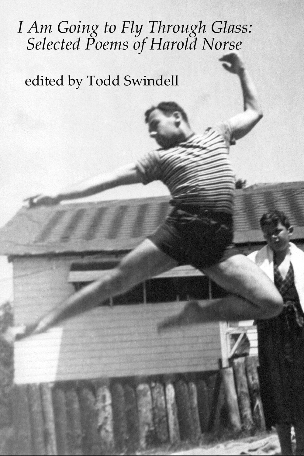 I Am Going to Fly Through Glass: Selected Poems of Harold Norse book cover