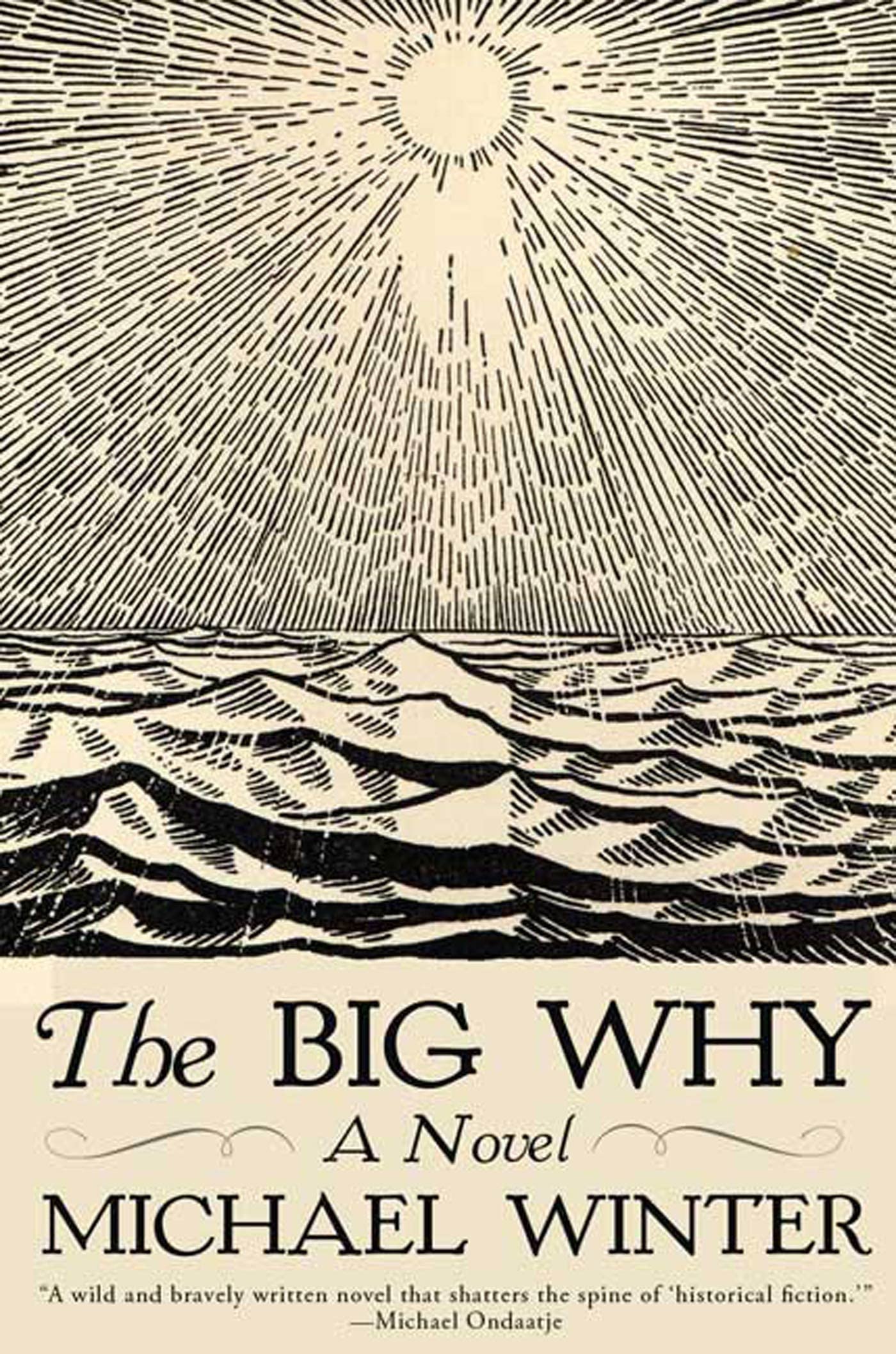 Big Why book cover