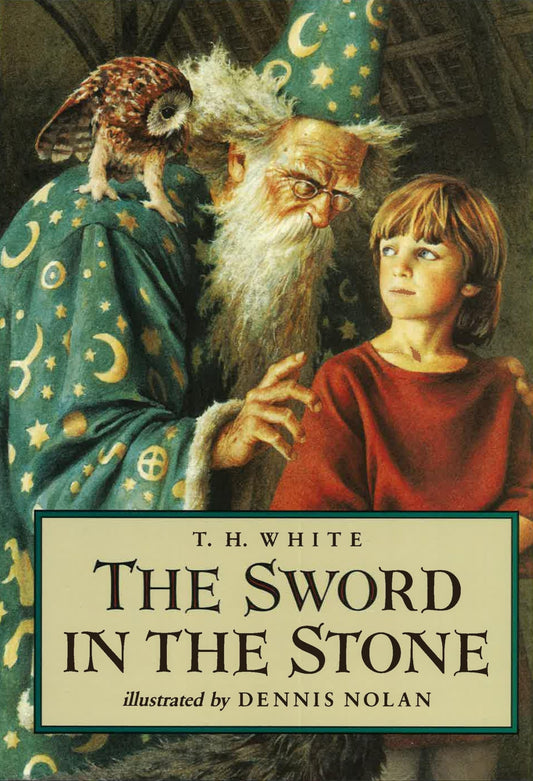 Sword in the Stone book cover