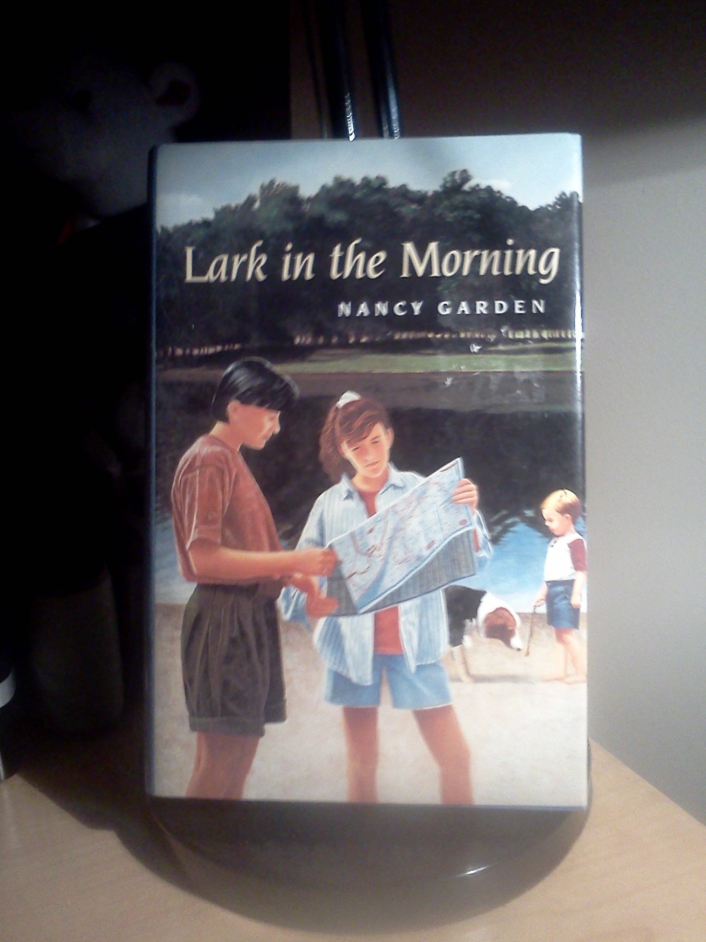 Lark in the Morning book cover