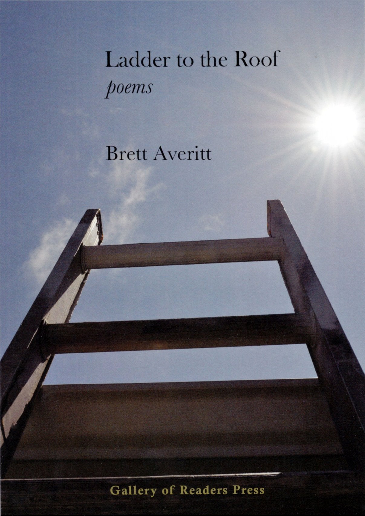 Ladder to the Roof book cover