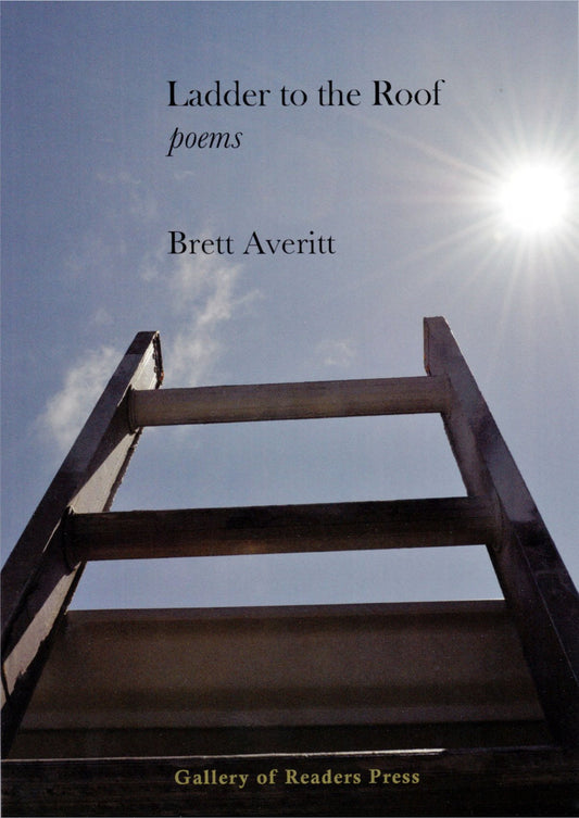 Ladder to the Roof book cover