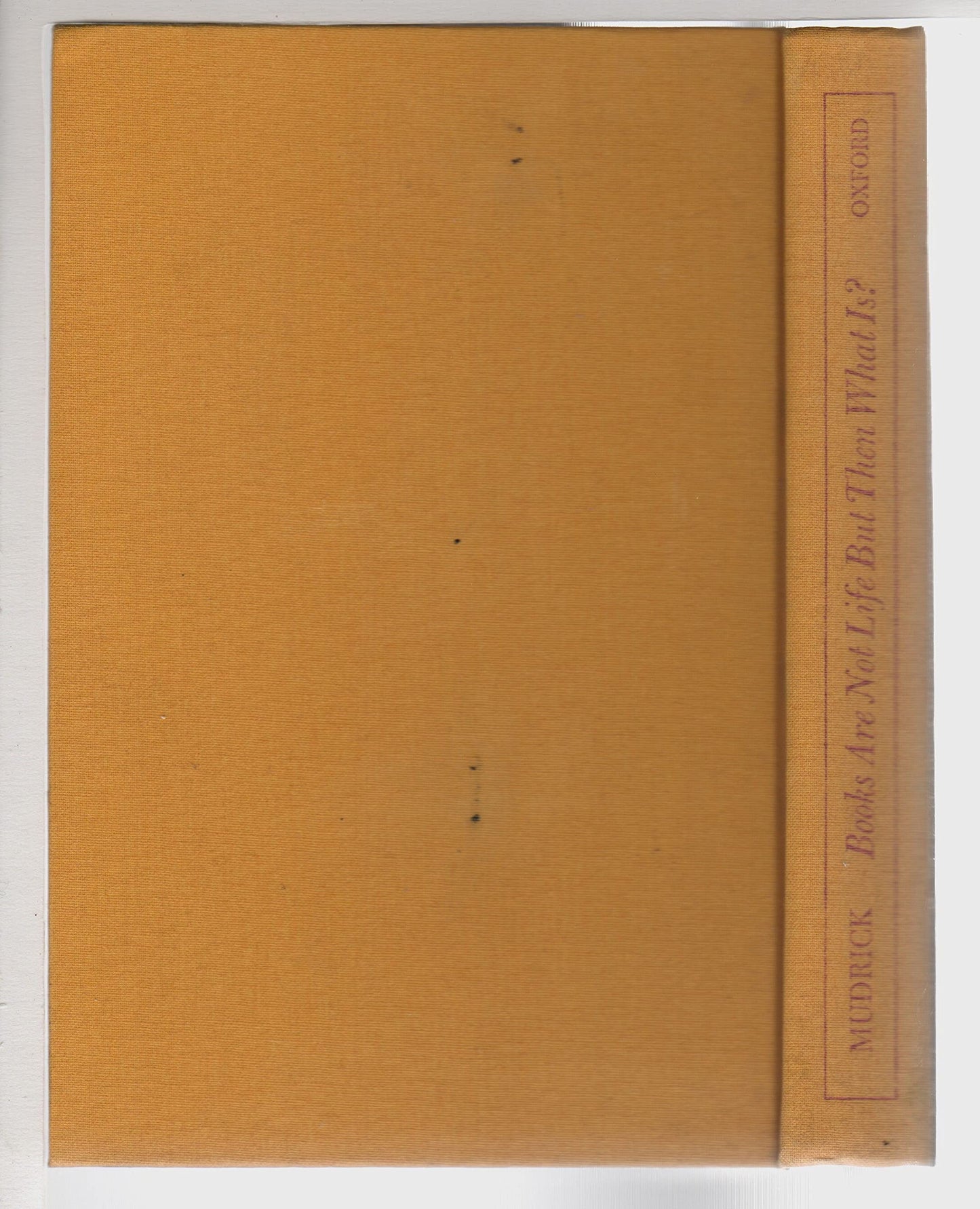 Books Are Not Life But Then What Is? book cover