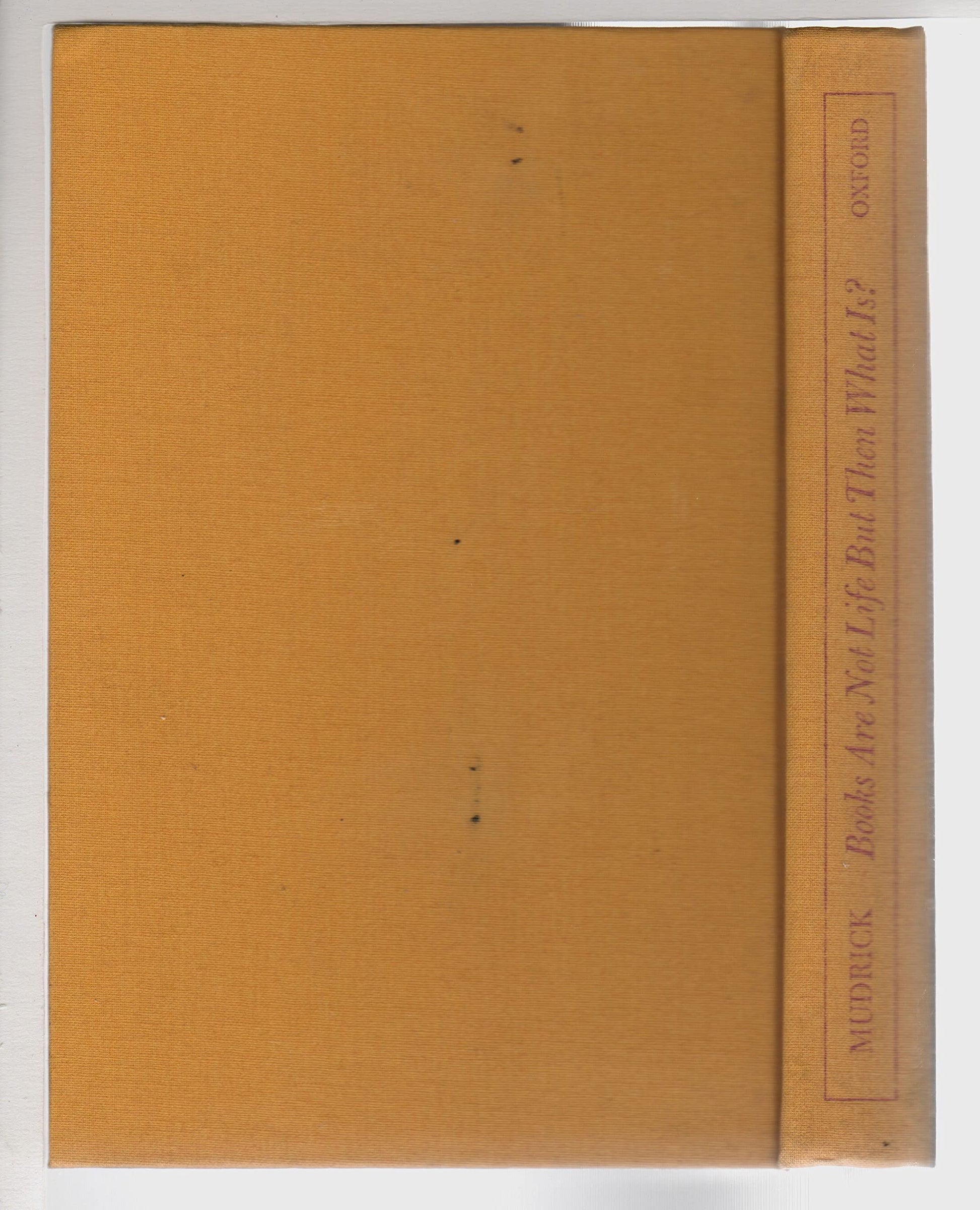 Books Are Not Life But Then What Is? book cover