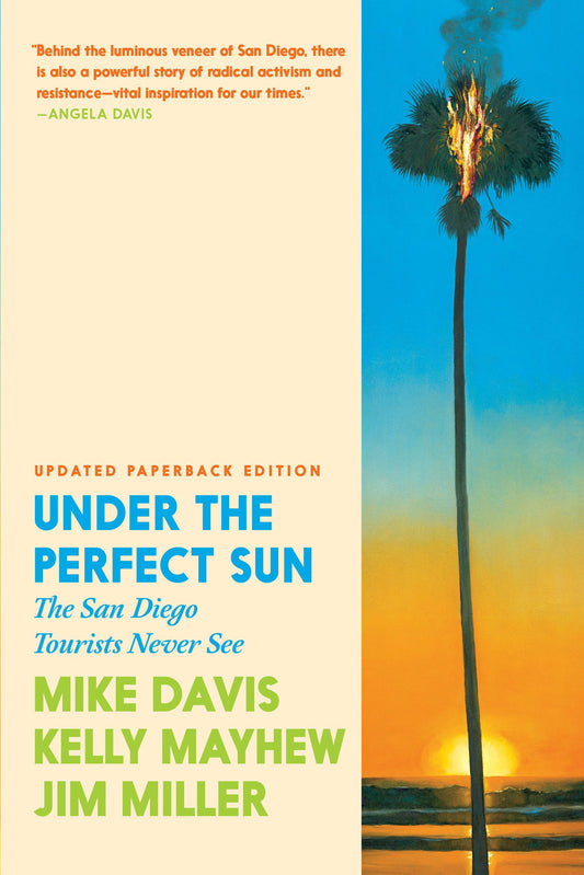 Under the Perfect Sun: The San Diego Tourists Never See book cover