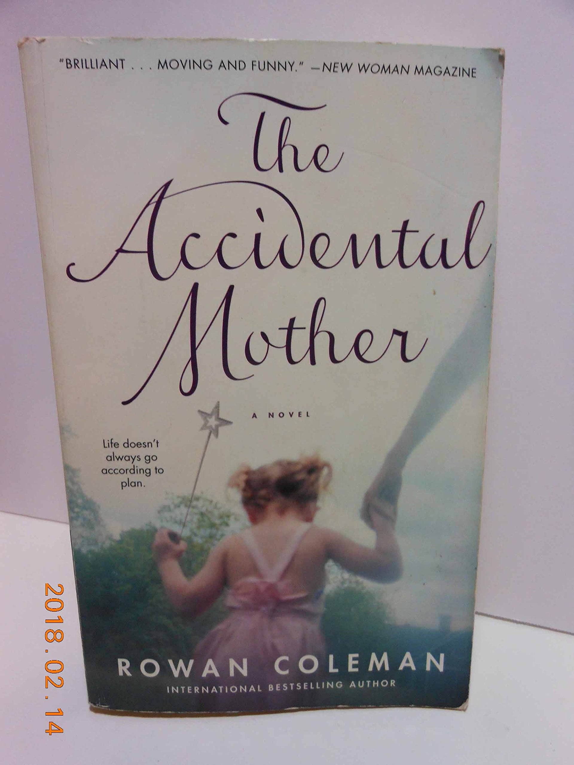 Accidental Mother book cover