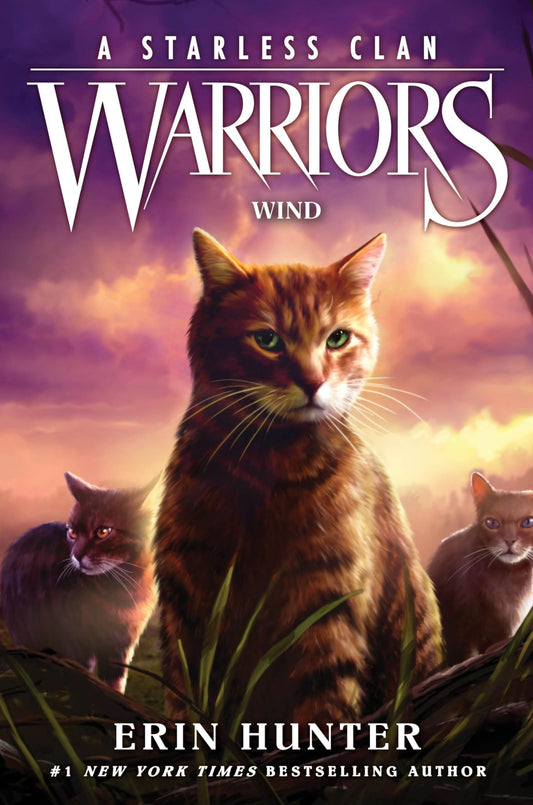 Wind book cover