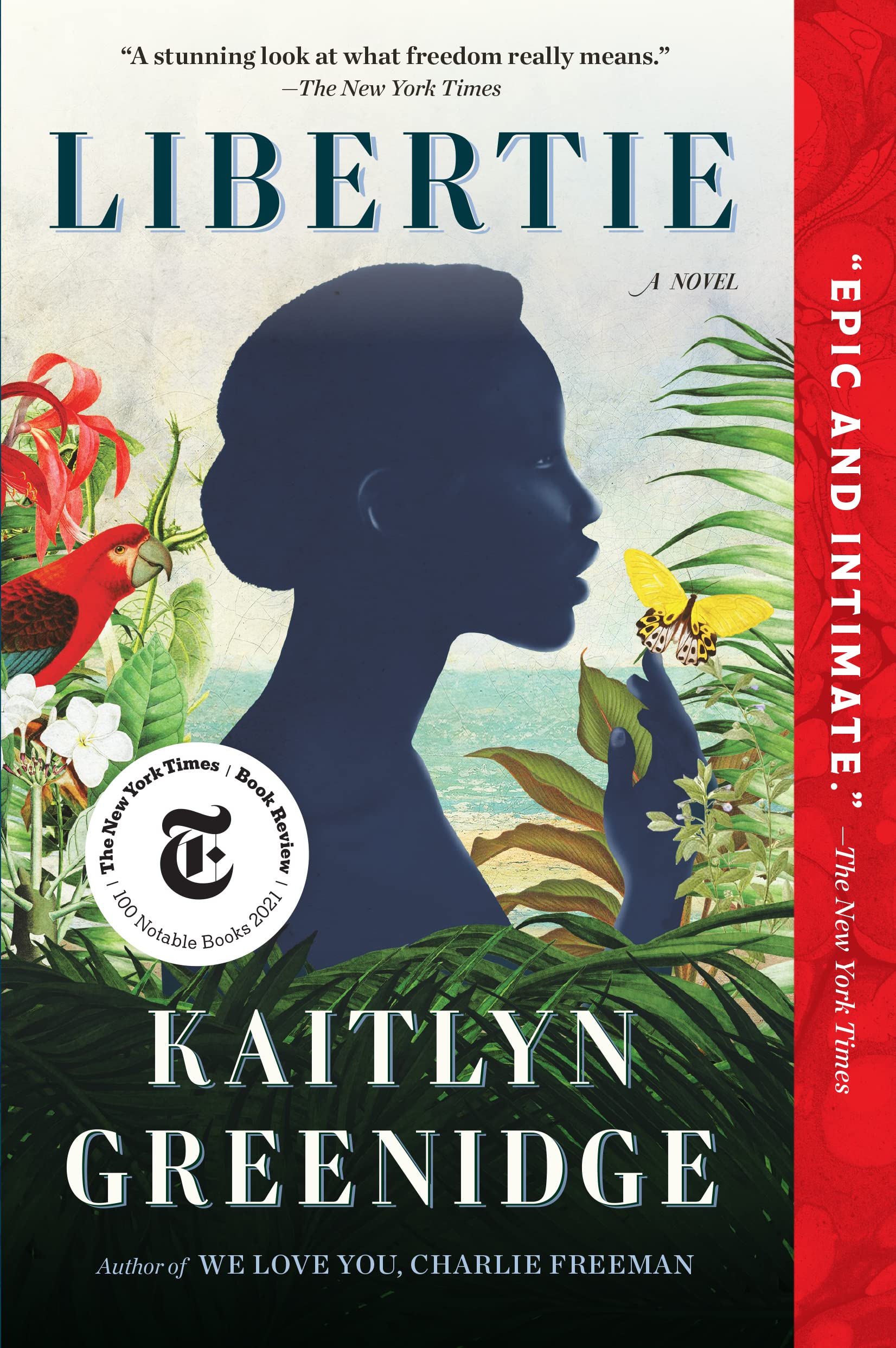 Libertie book cover