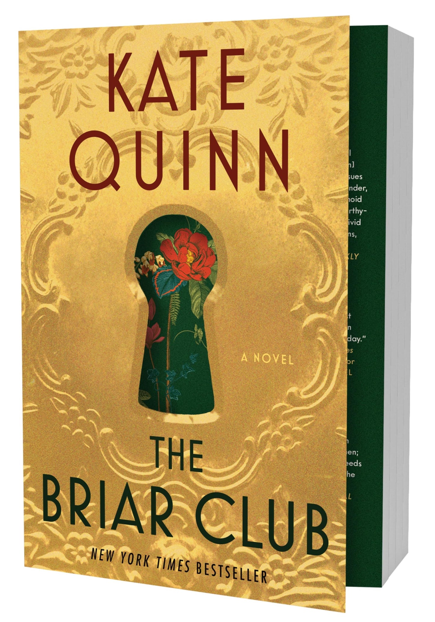 The Briar Club book cover