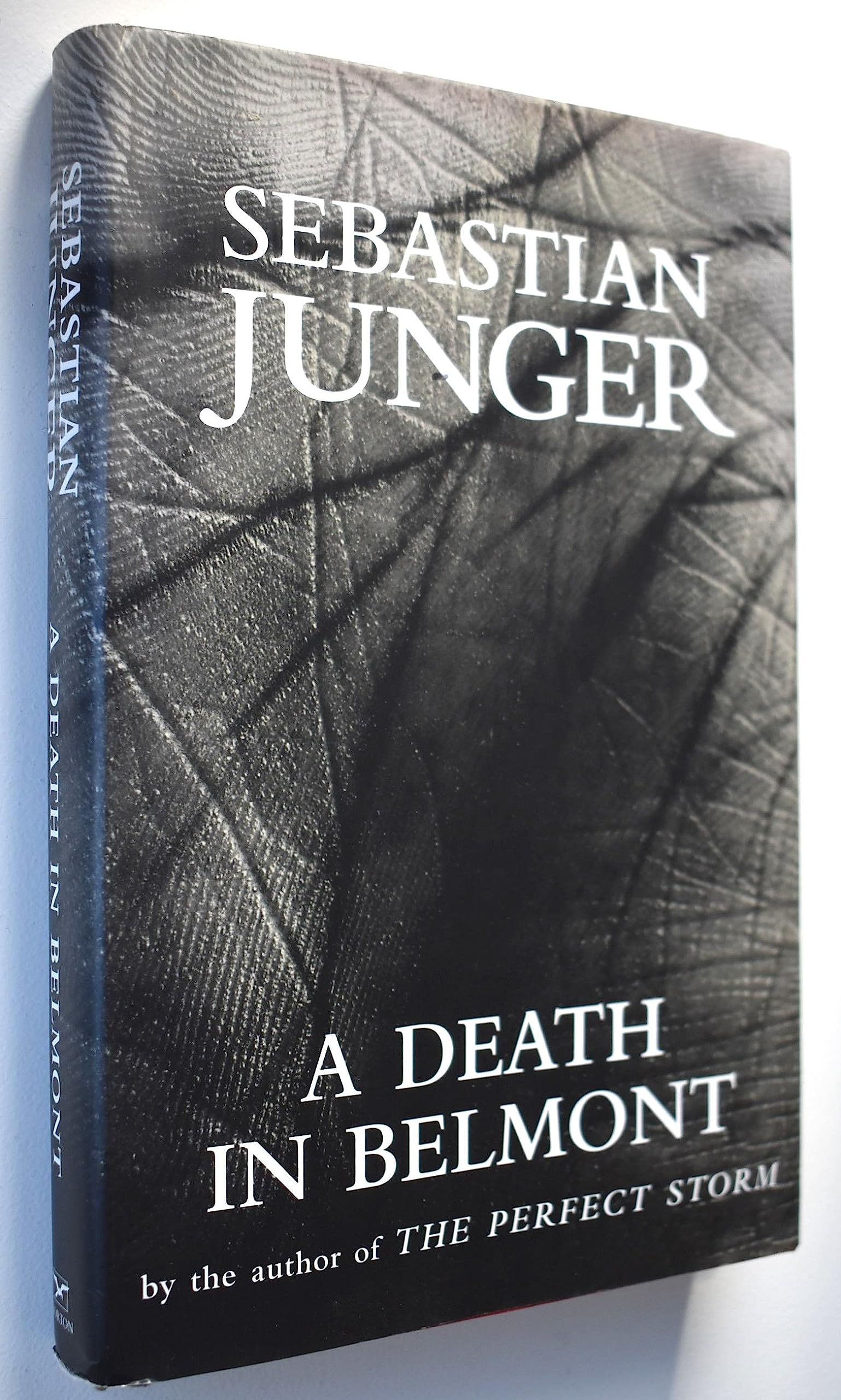 Death in Belmont book cover