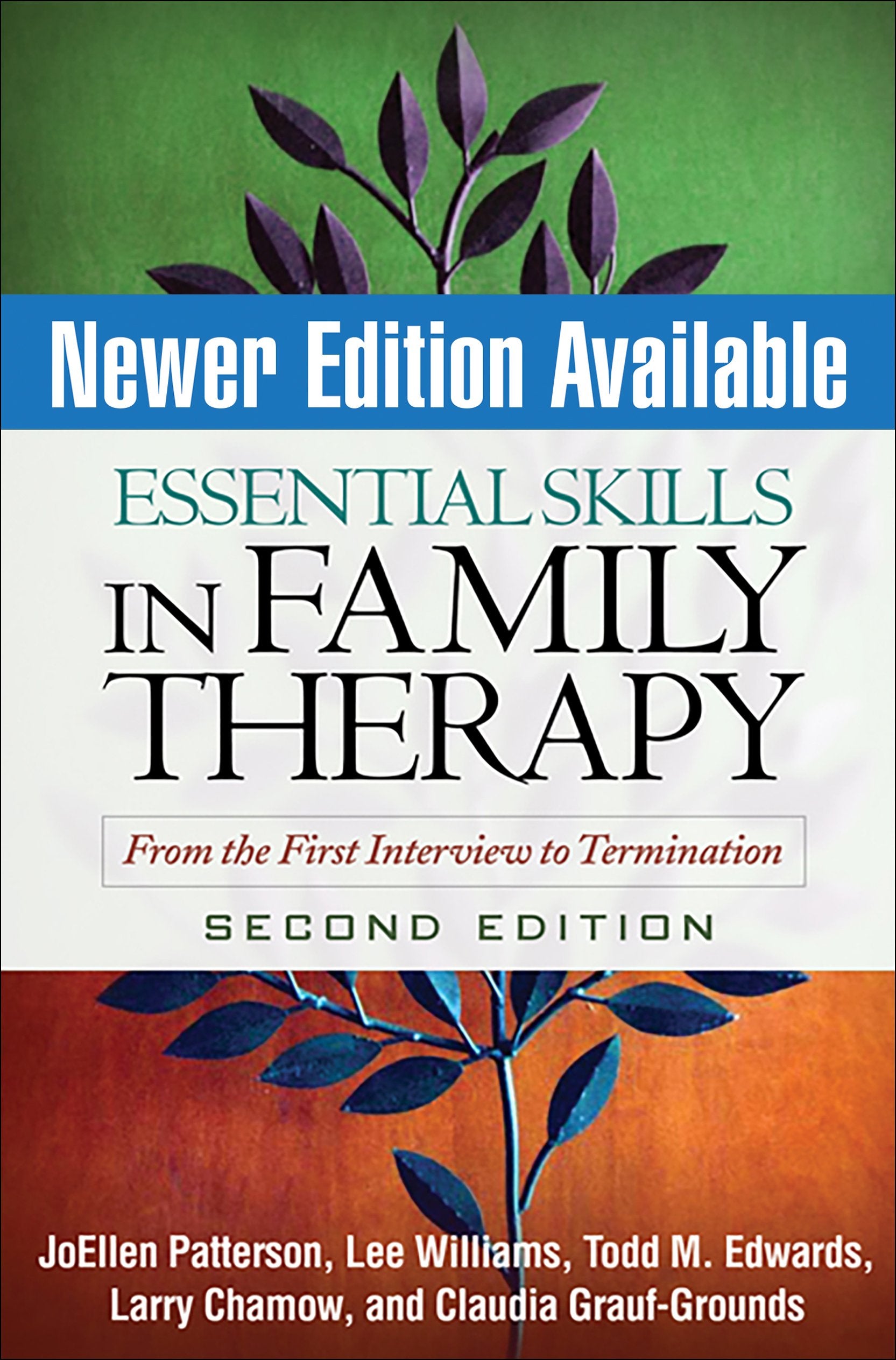 Essential Skills in Family Therapy: From the First Interview to Termination book cover