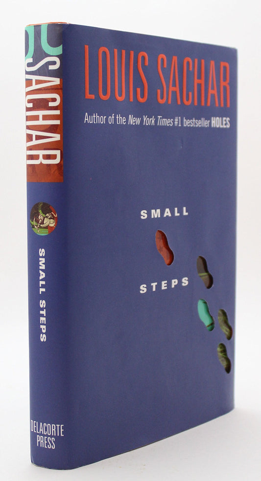 Small Steps book cover