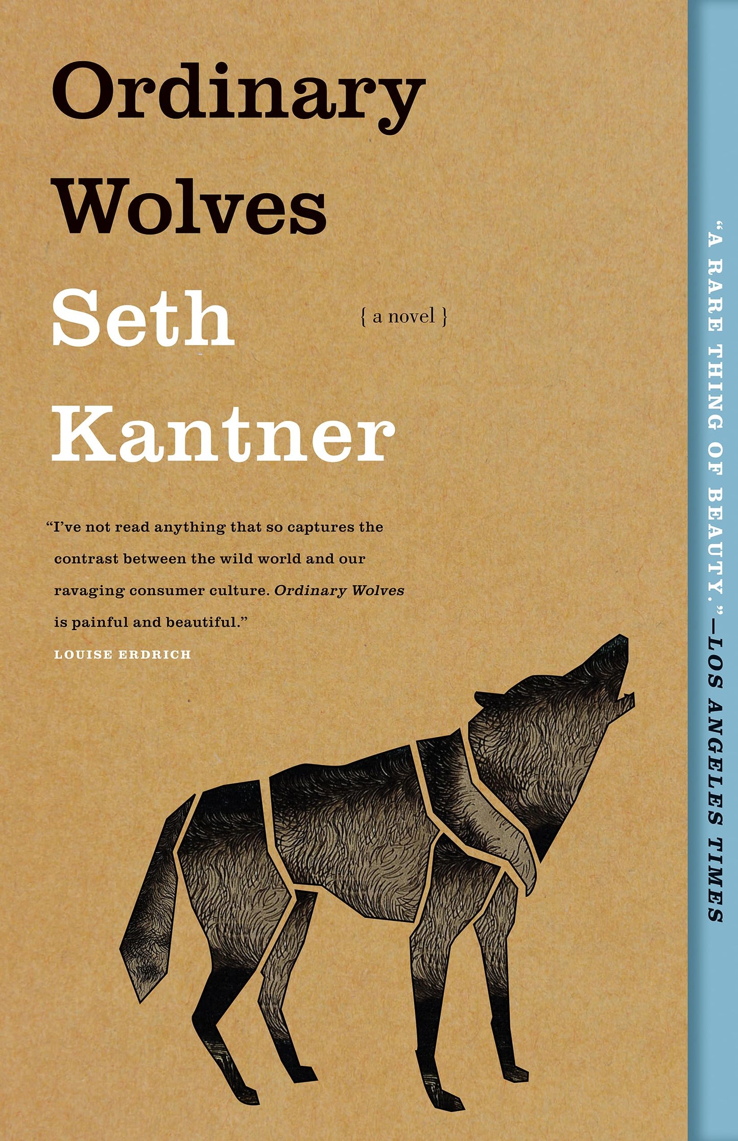 Ordinary Wolves (Anniversary) book cover