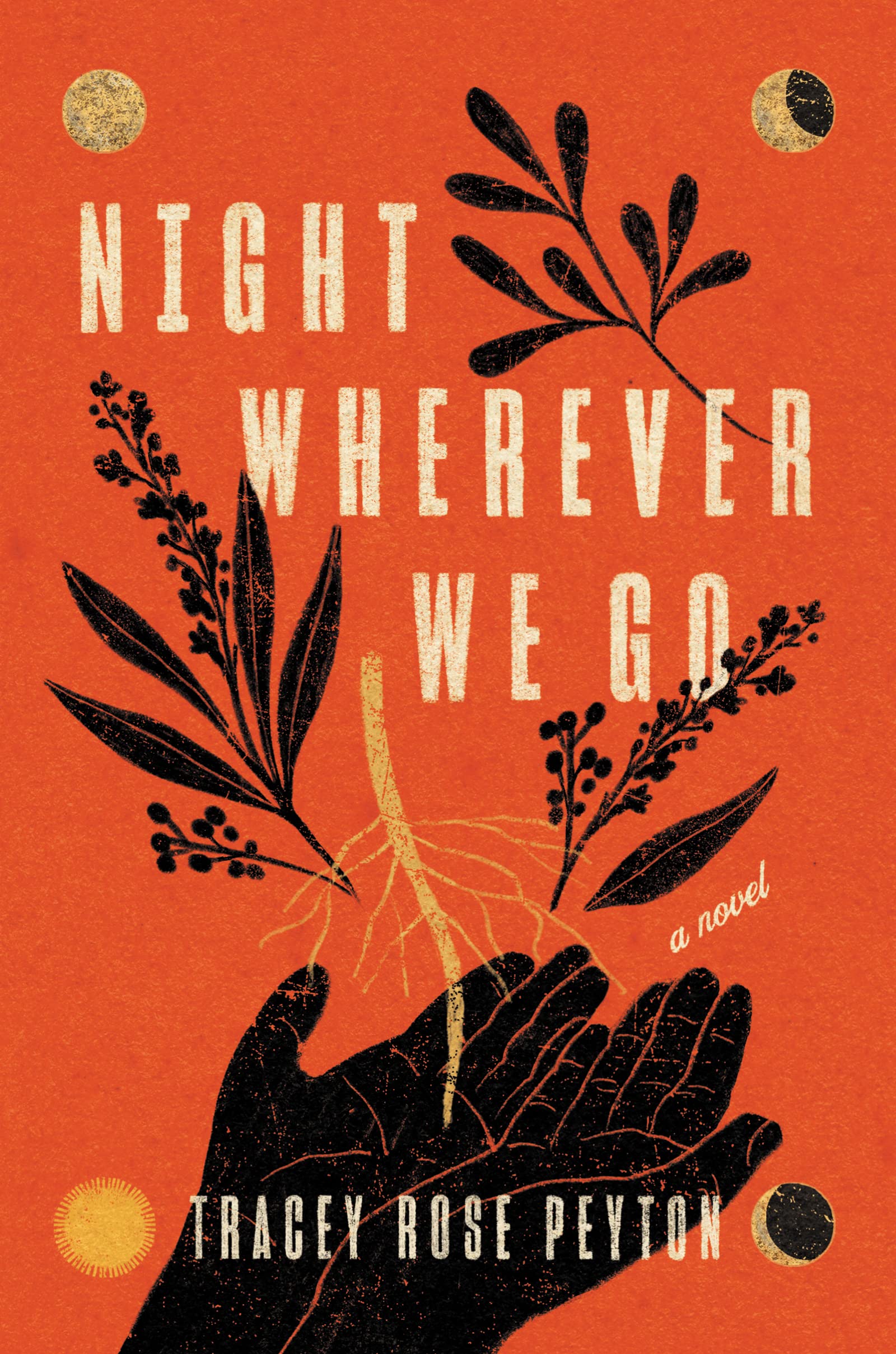 Night Wherever We Go book cover