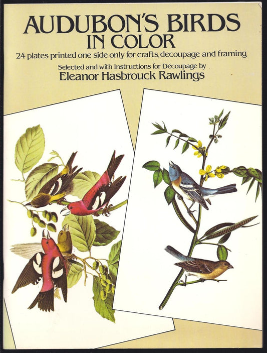 Audubon's Birds in Color book cover
