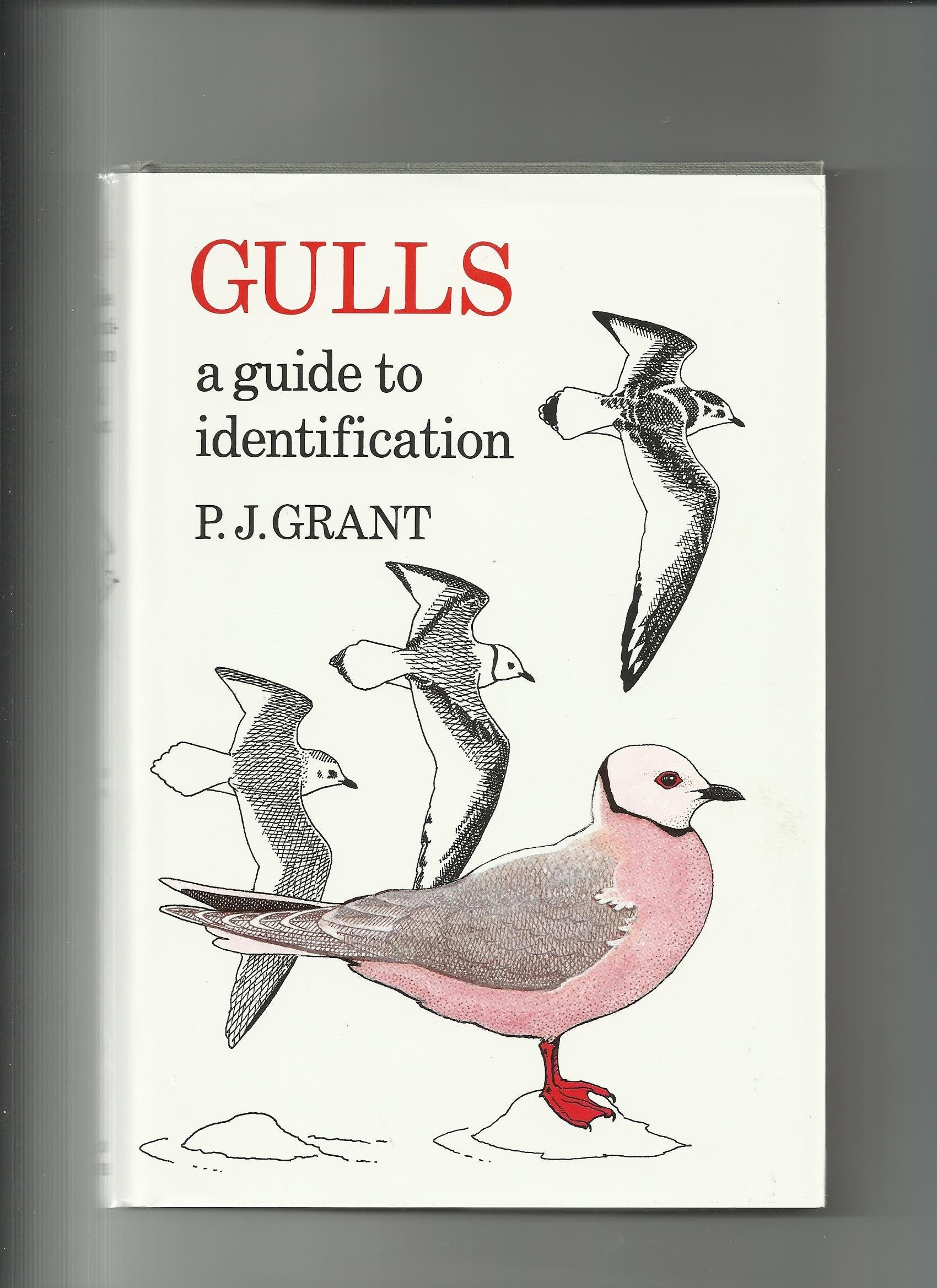Gulls: A Guide to Identification book cover