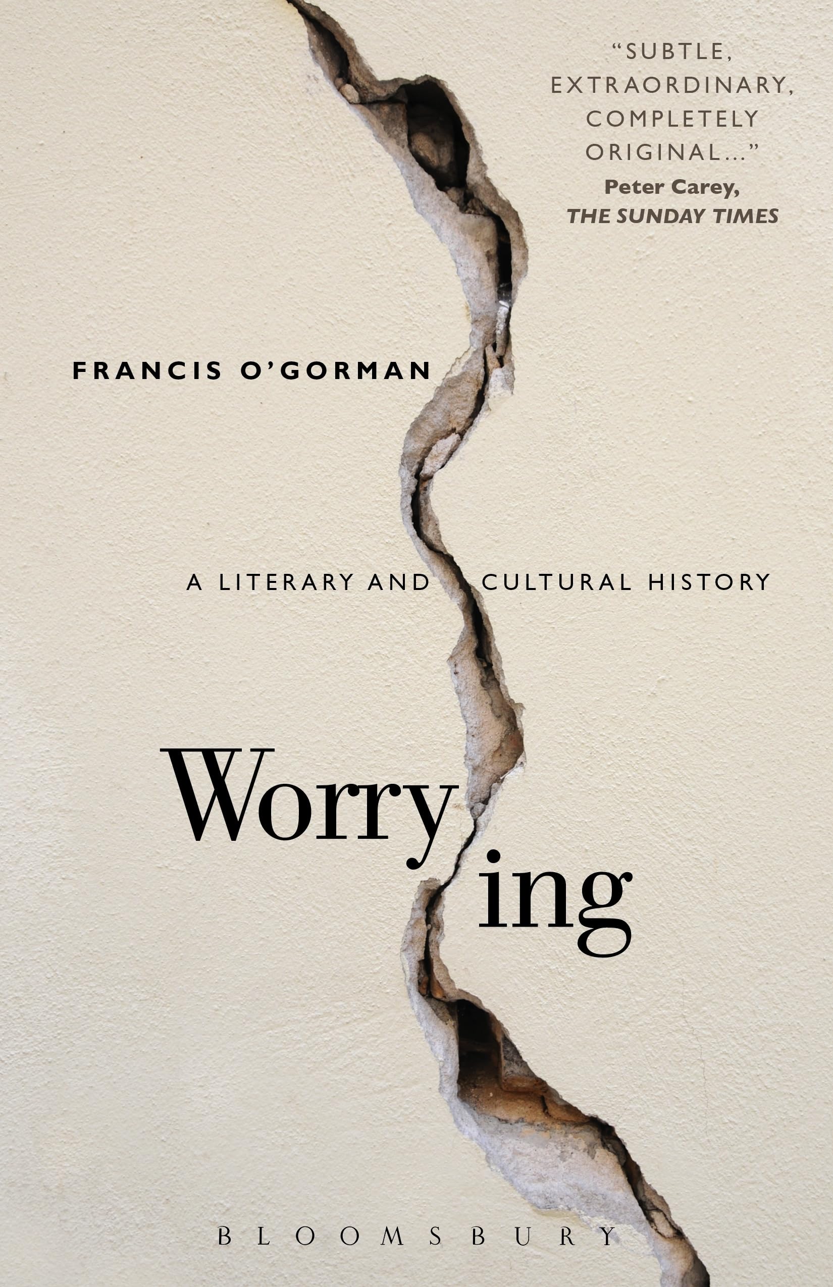 Worrying: A Literary and Cultural History book cover