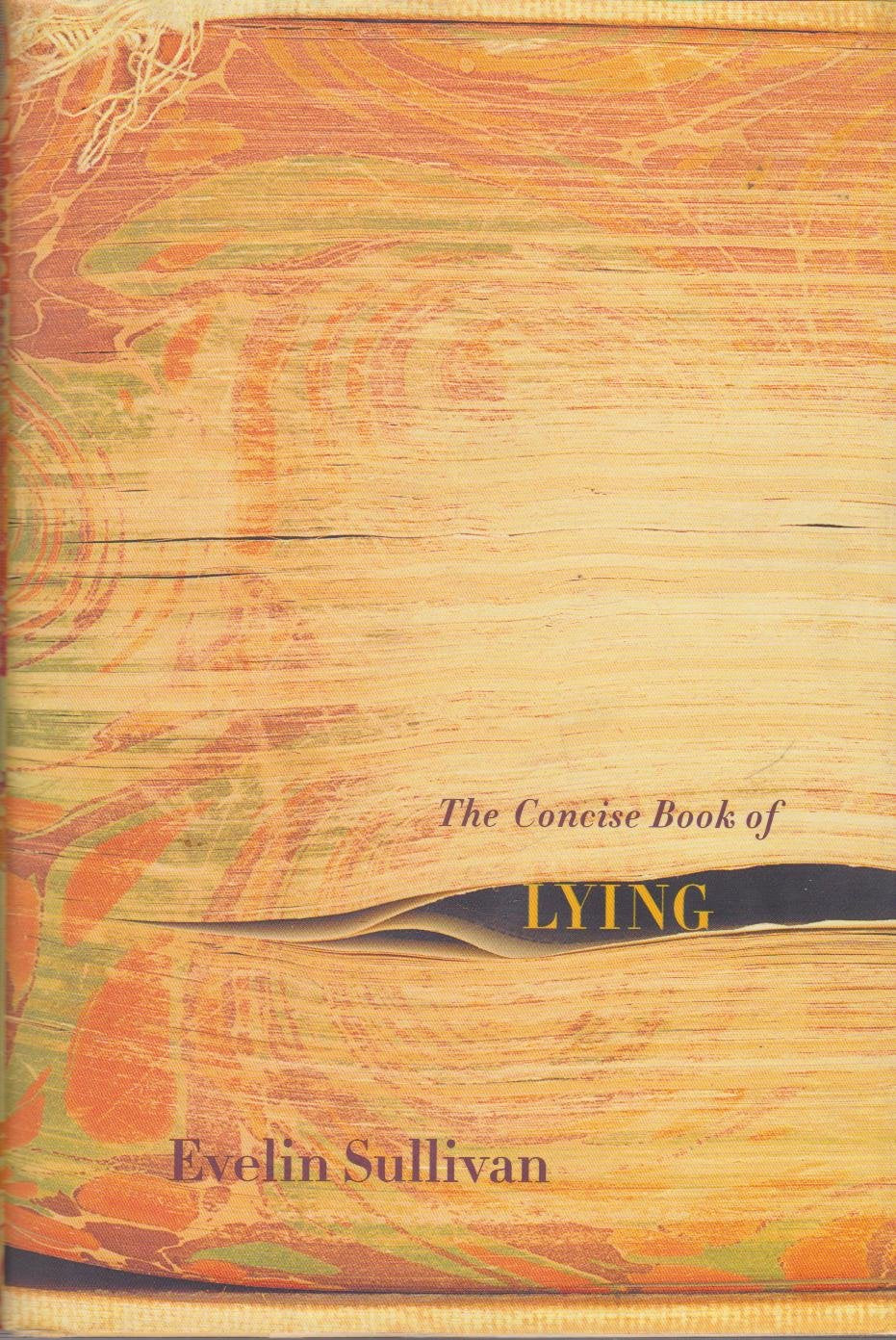 Concise Book of Lying book cover