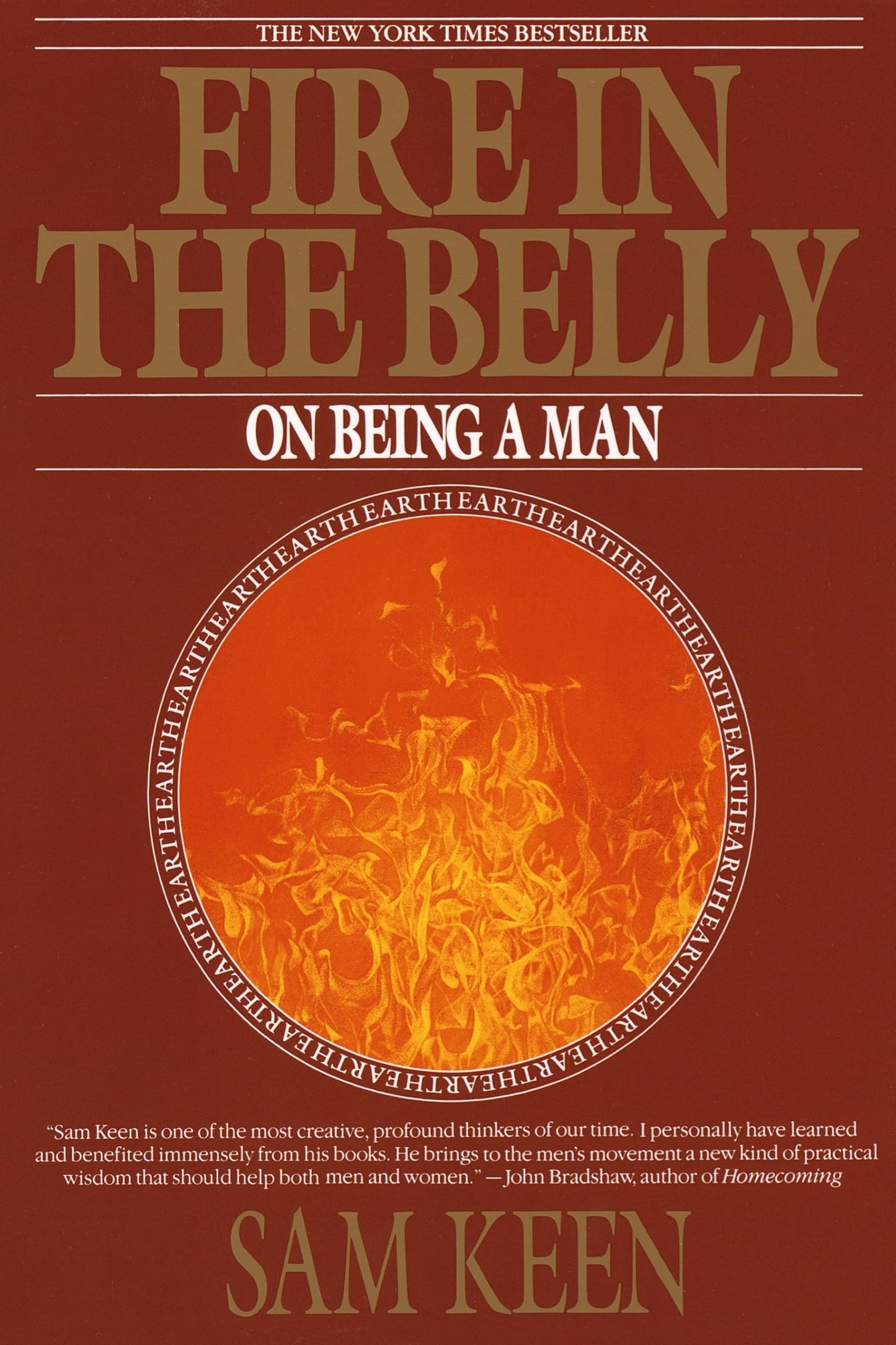 Fire in the Belly: On Being a Man book cover