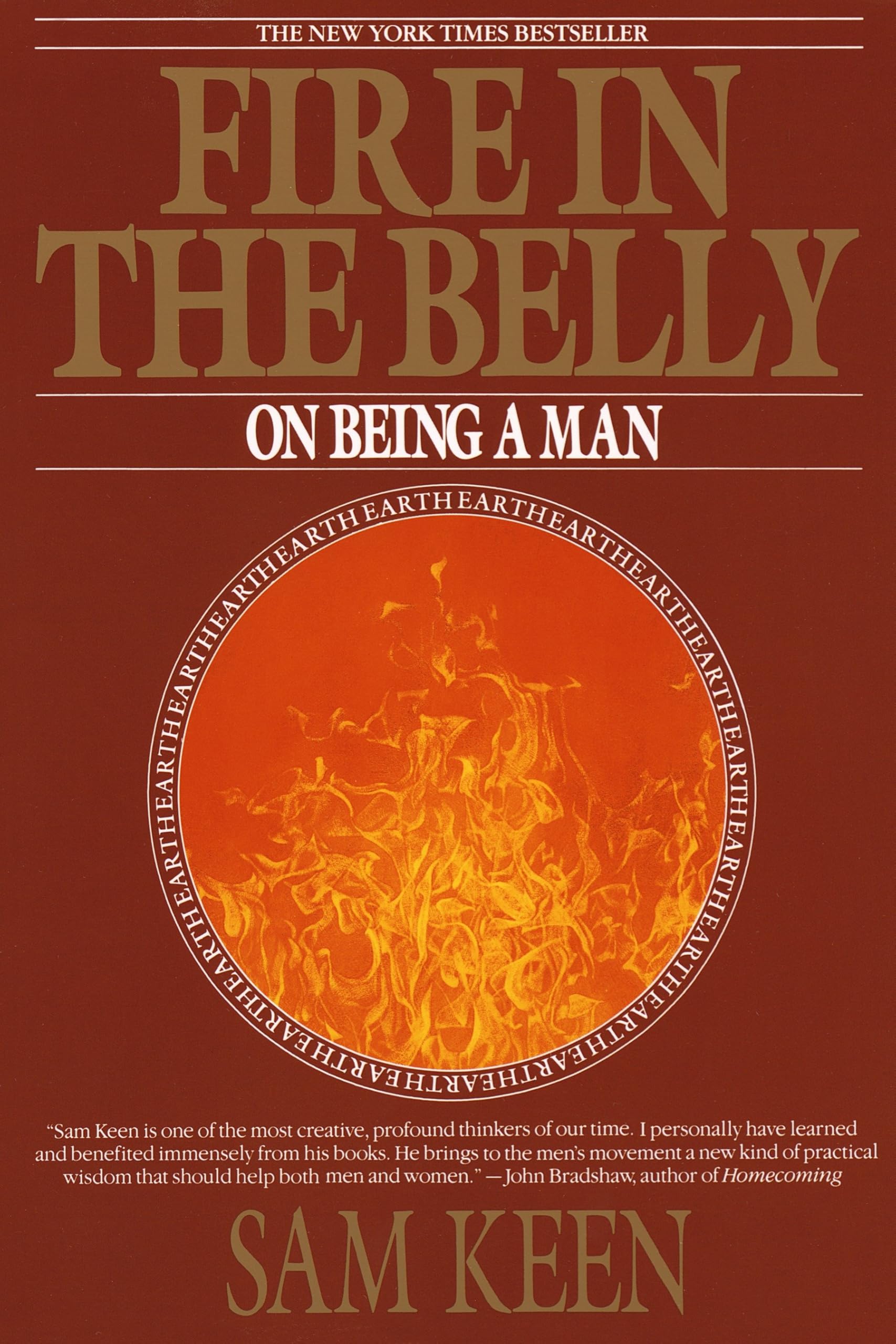 Fire in the Belly: On Being a Man book cover