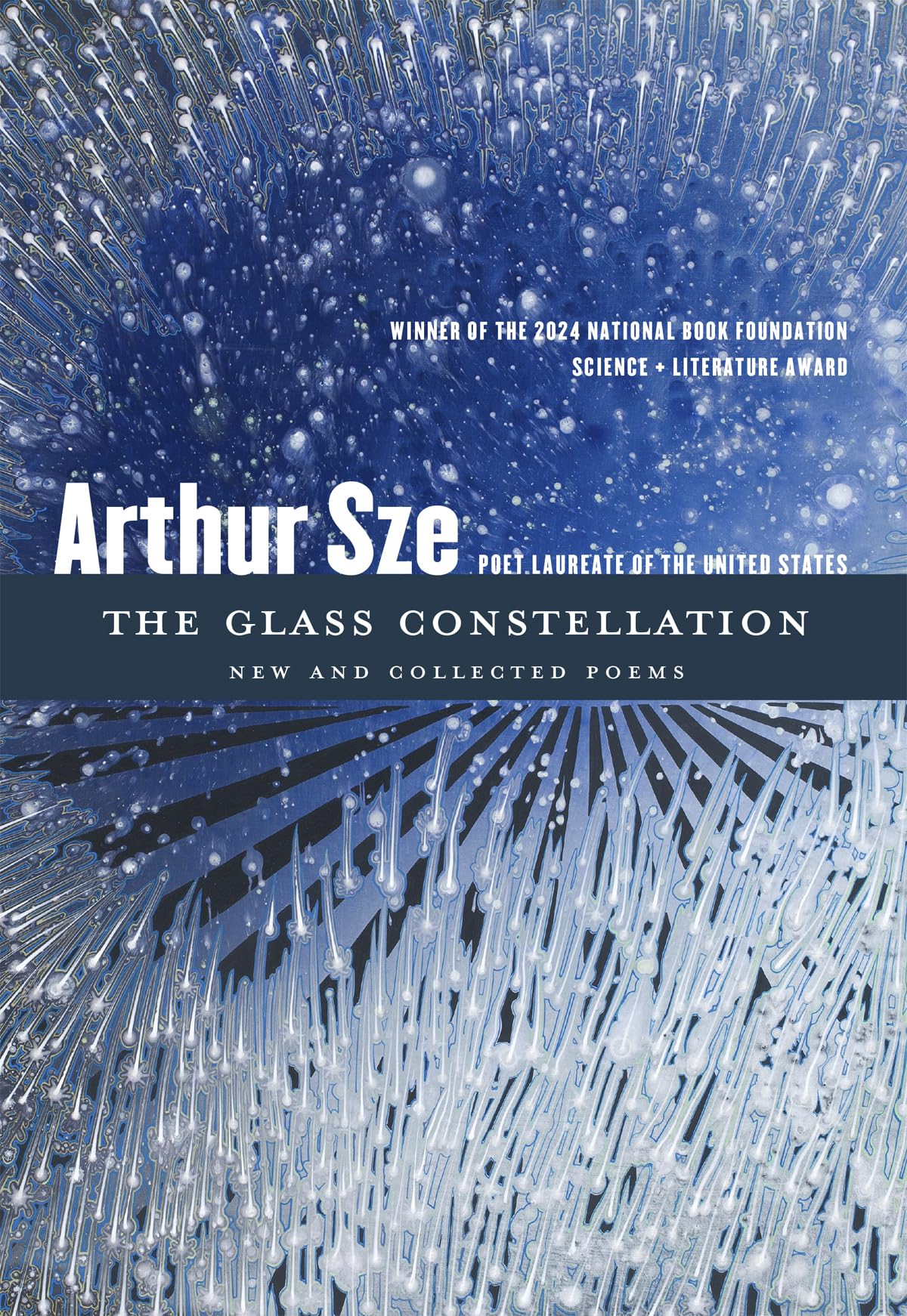 The Glass Constellation book cover
