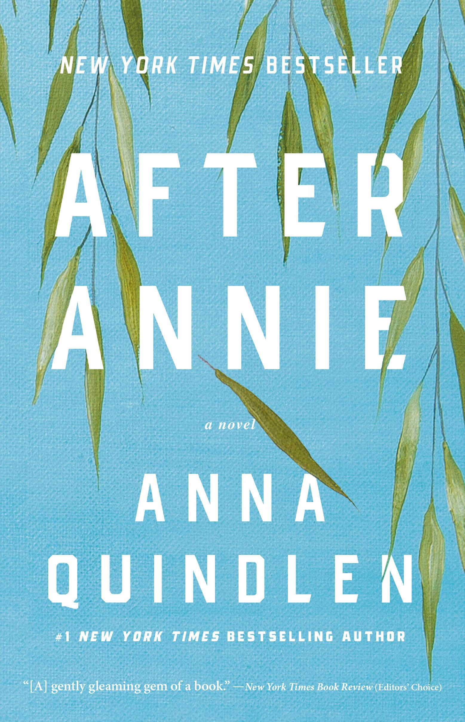 After Annie book cover
