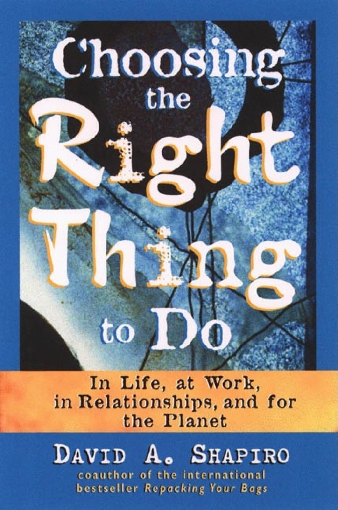 Choosing the Right Thing to Do book cover