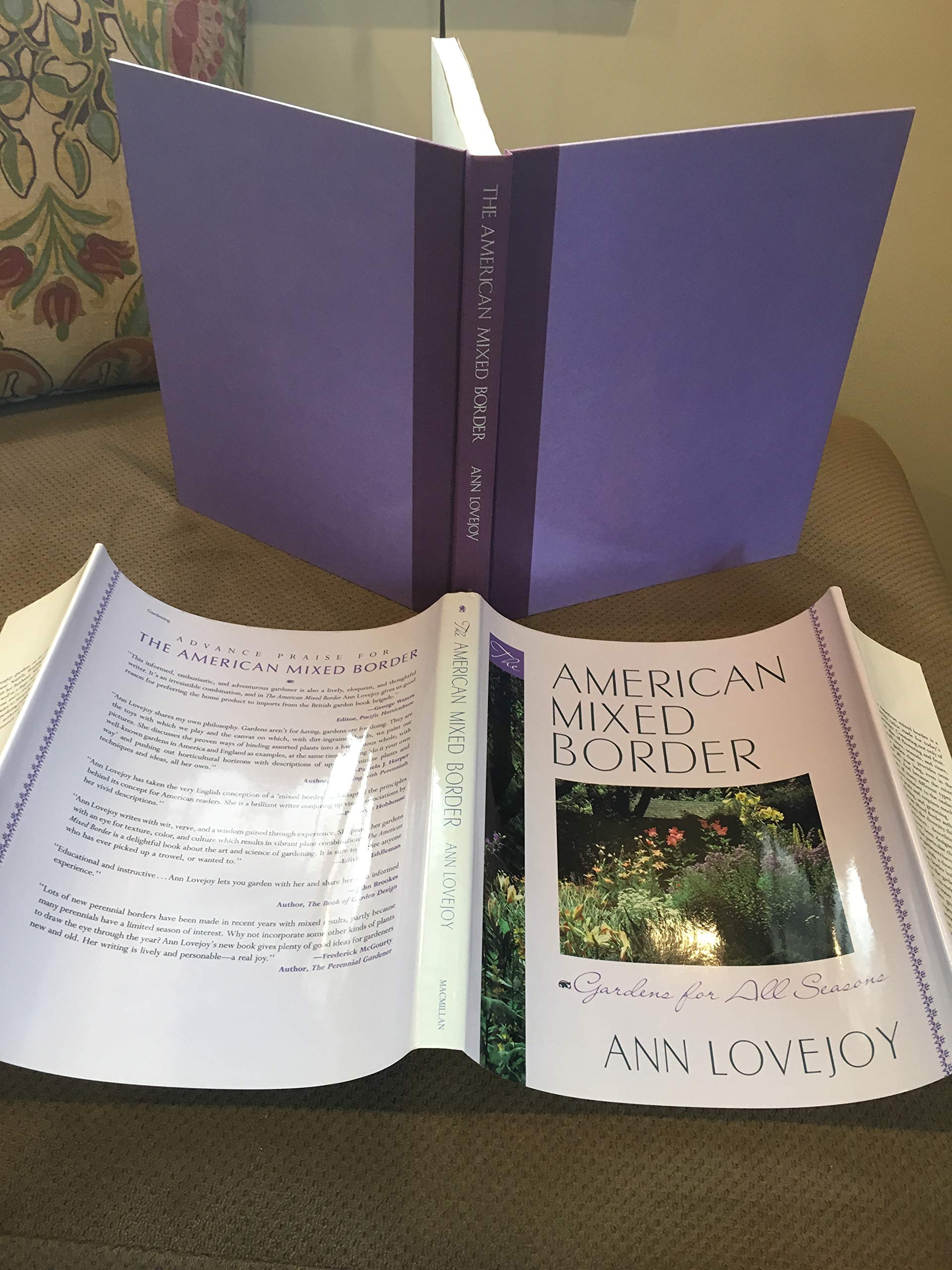 American Mixed Border book cover