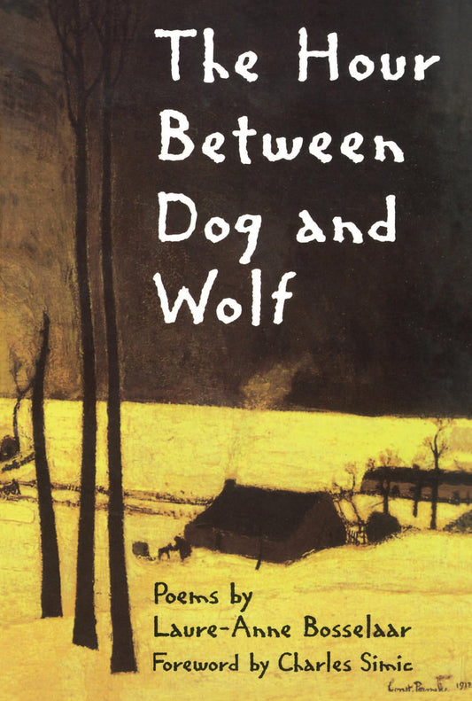 Hour Between Dog and Wolf book cover