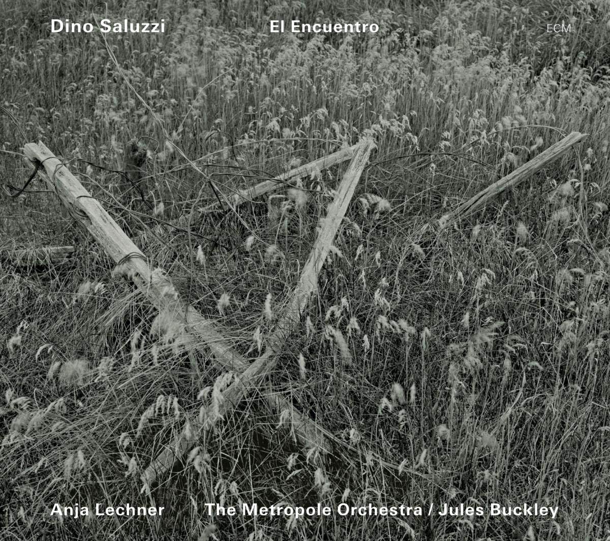 El Encuentro book cover