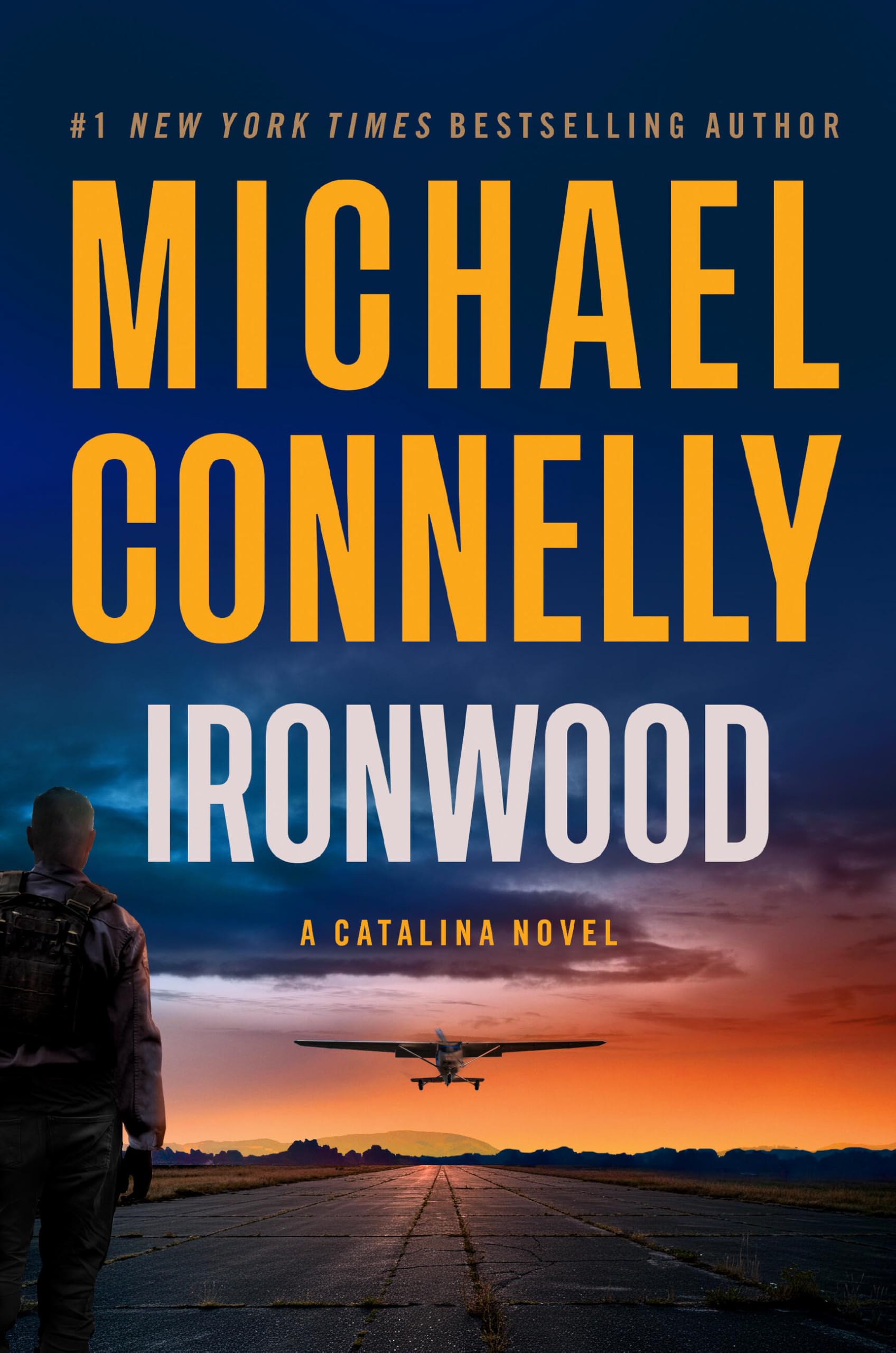 Ironwood book cover