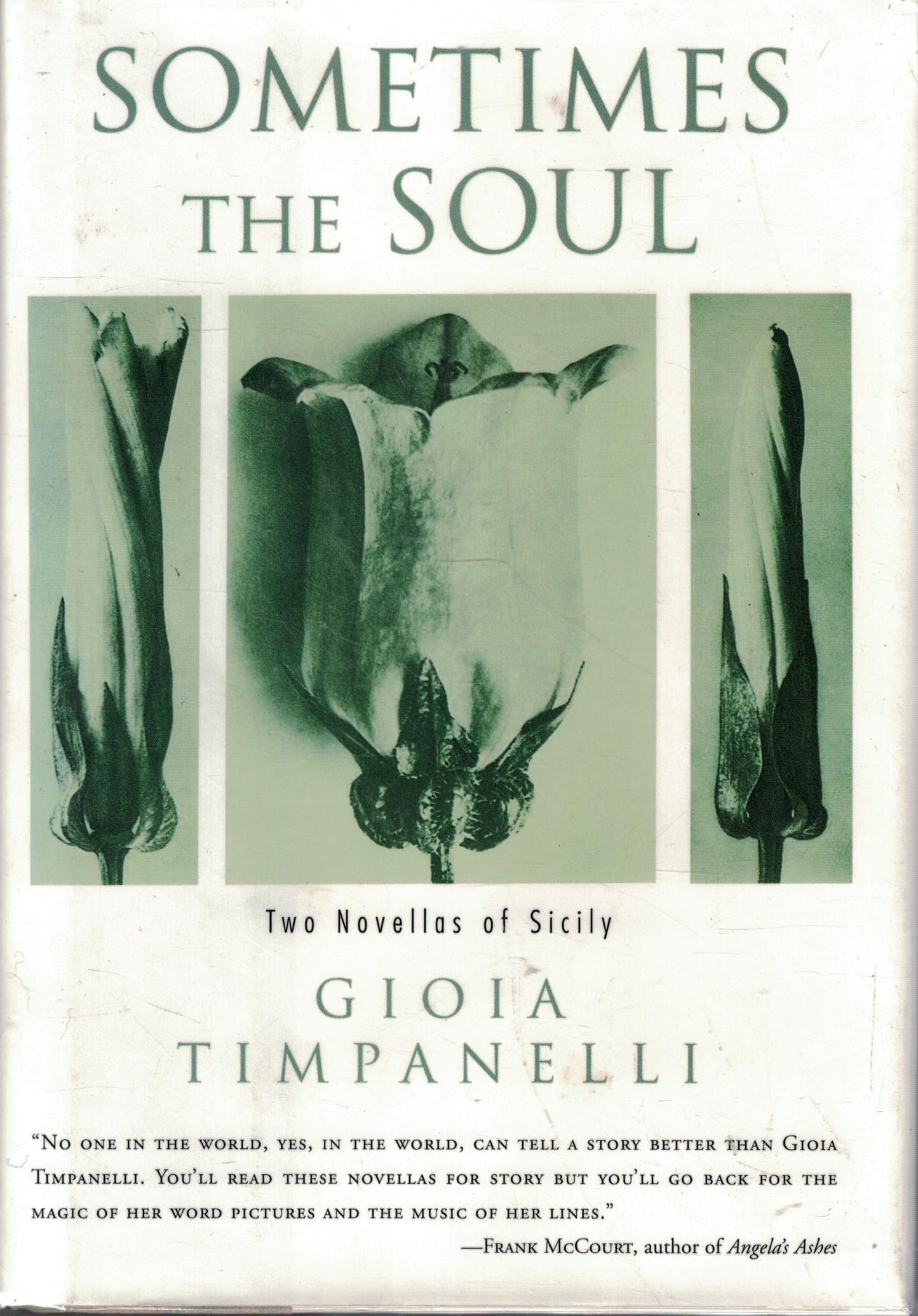 Sometimes the Soul: Two Novellas of Sicily book cover