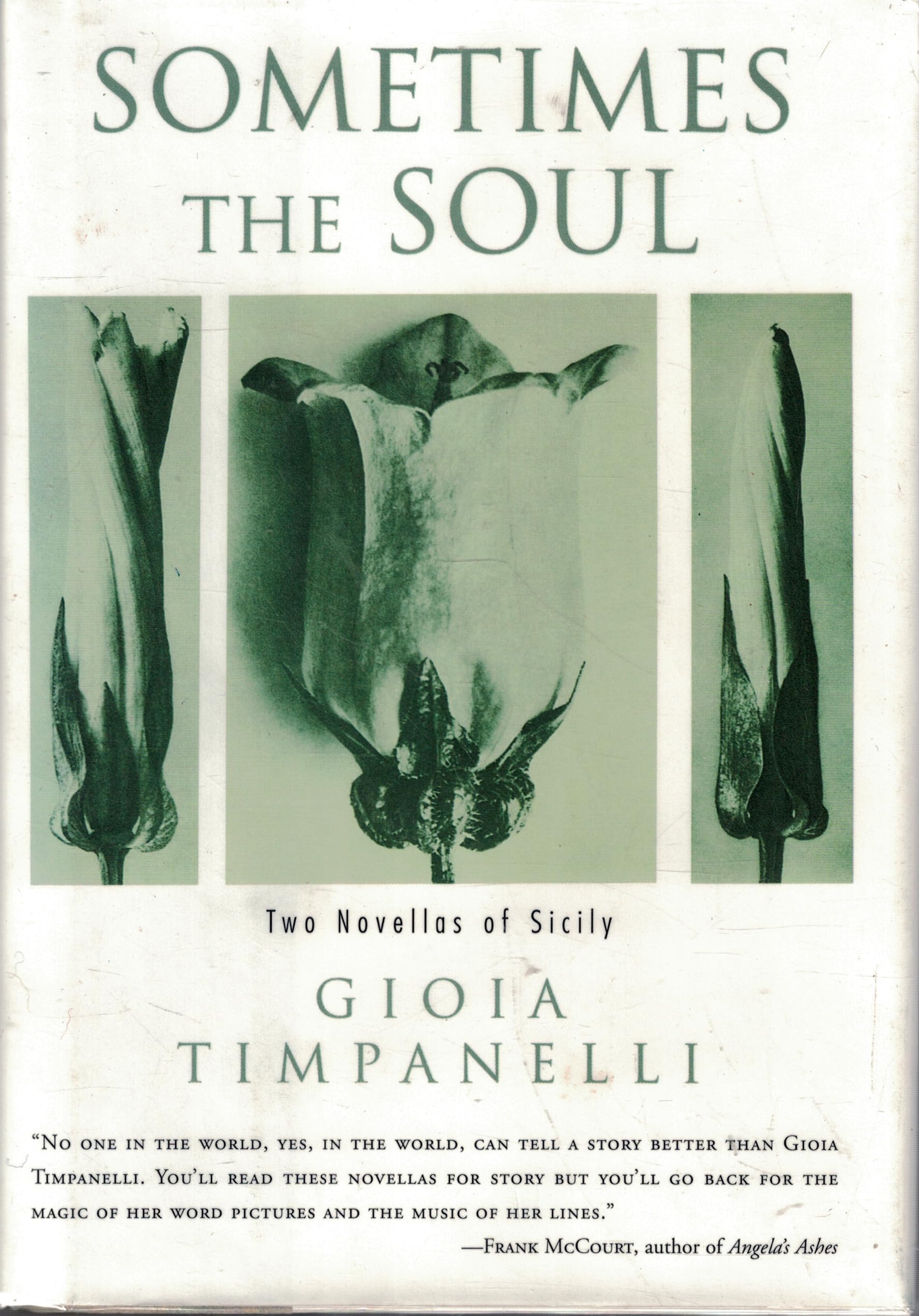 Sometimes the Soul: Two Novellas of Sicily book cover