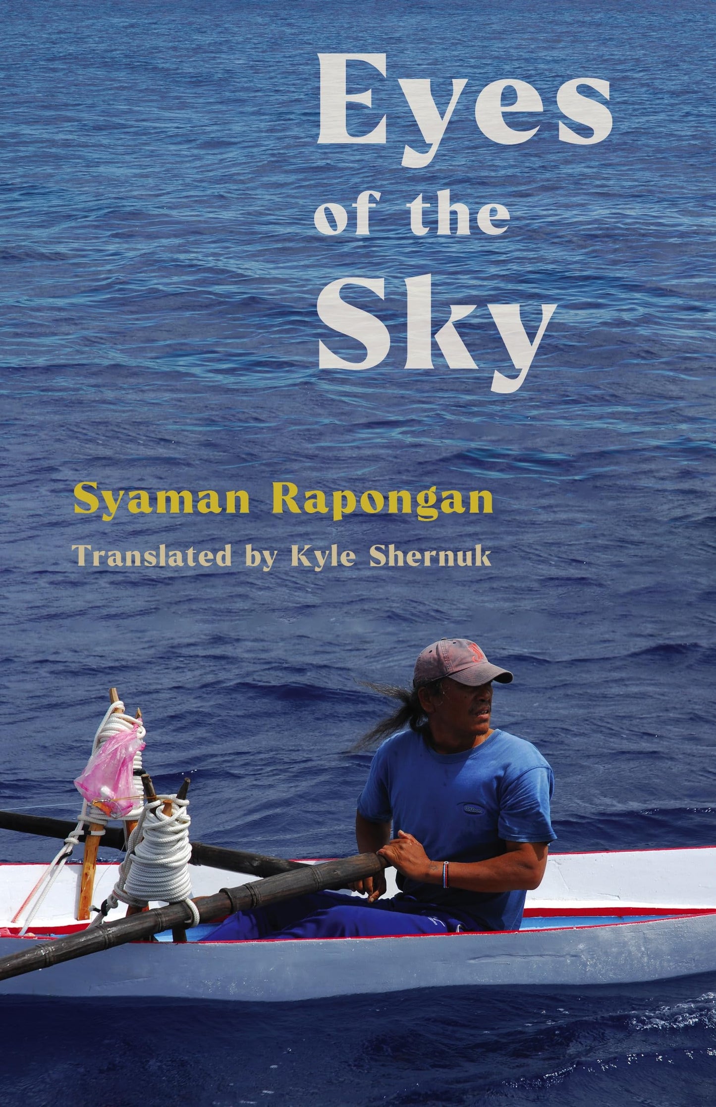 Eyes of the Sky book cover