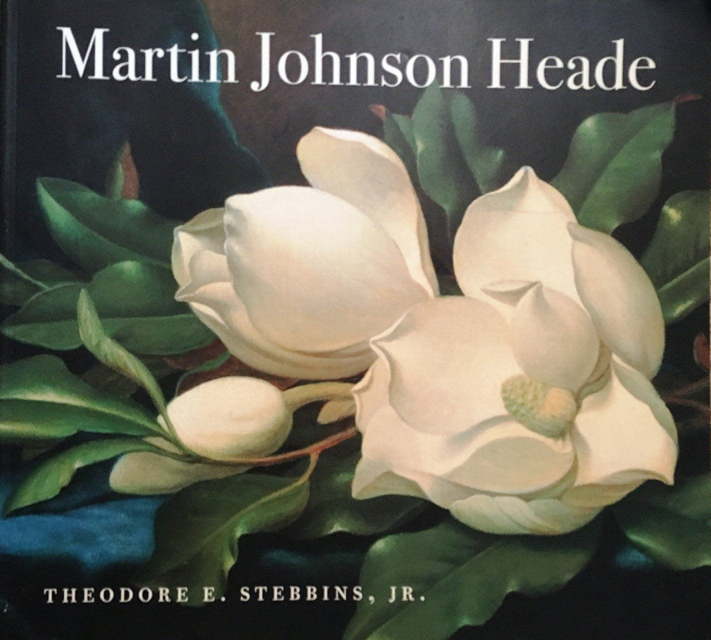 Martin Johnson Heade book cover