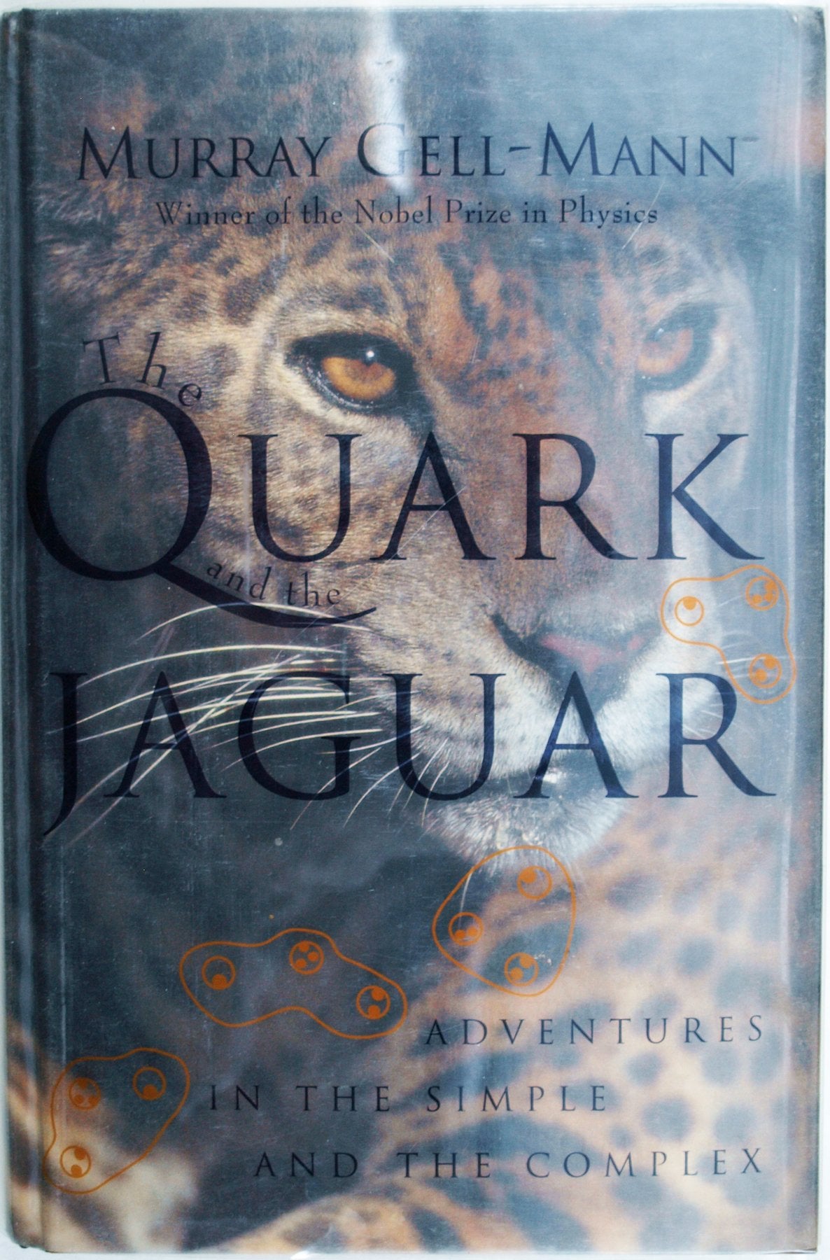 Quark & the Jaguar book cover